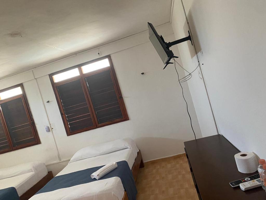 Double Room With Garden View photo 3