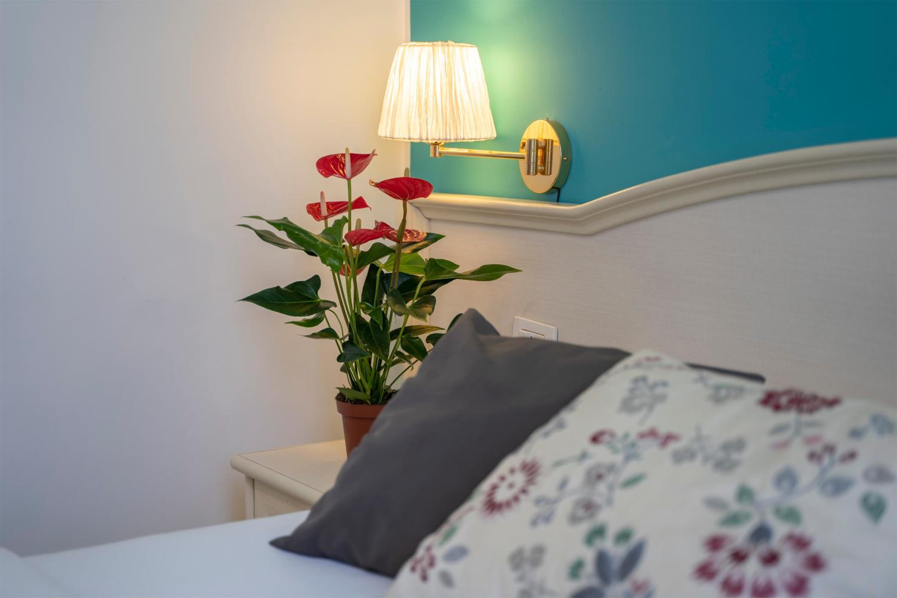Large Double Room photo 1