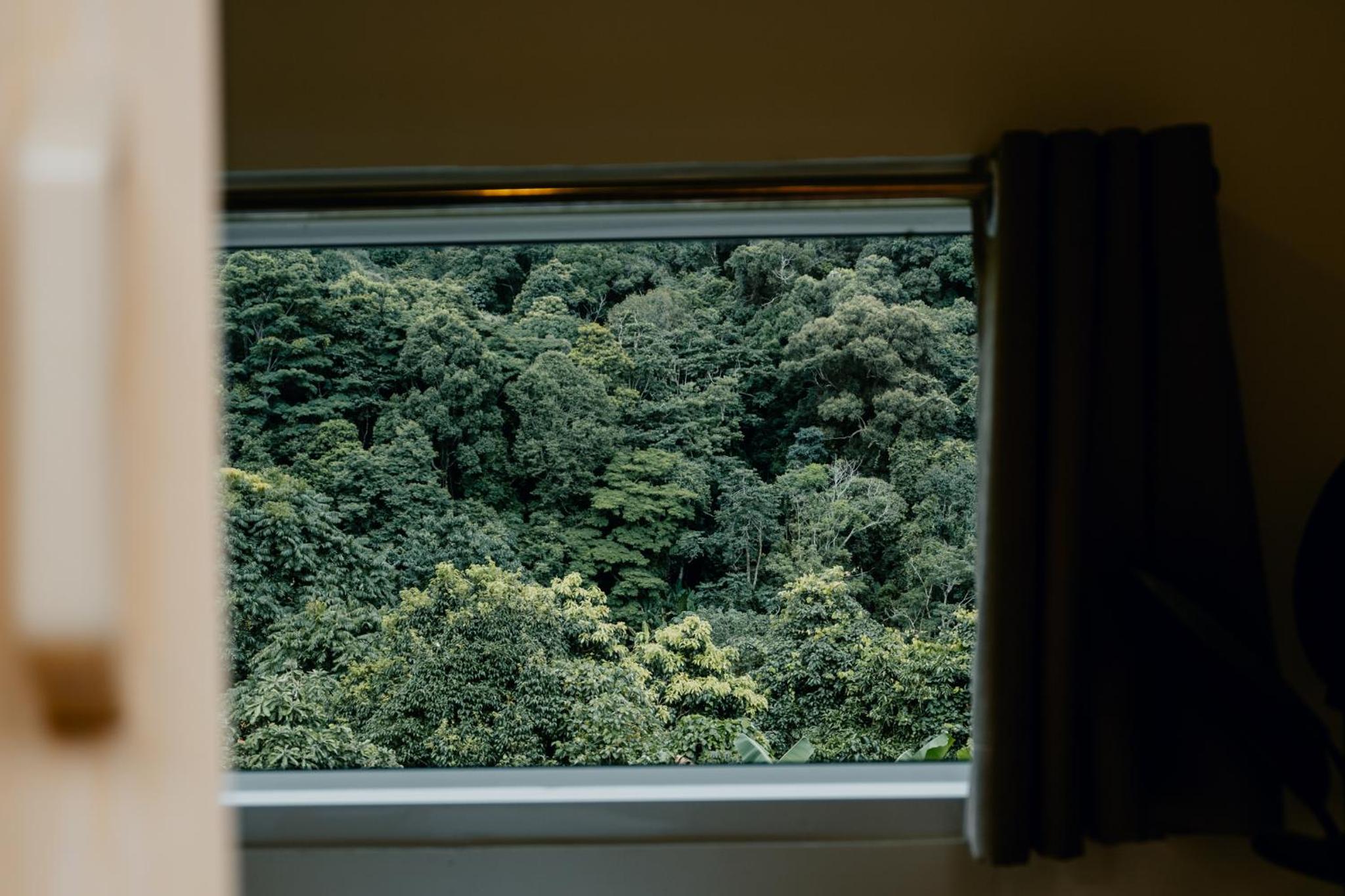 Suite - Photo 5