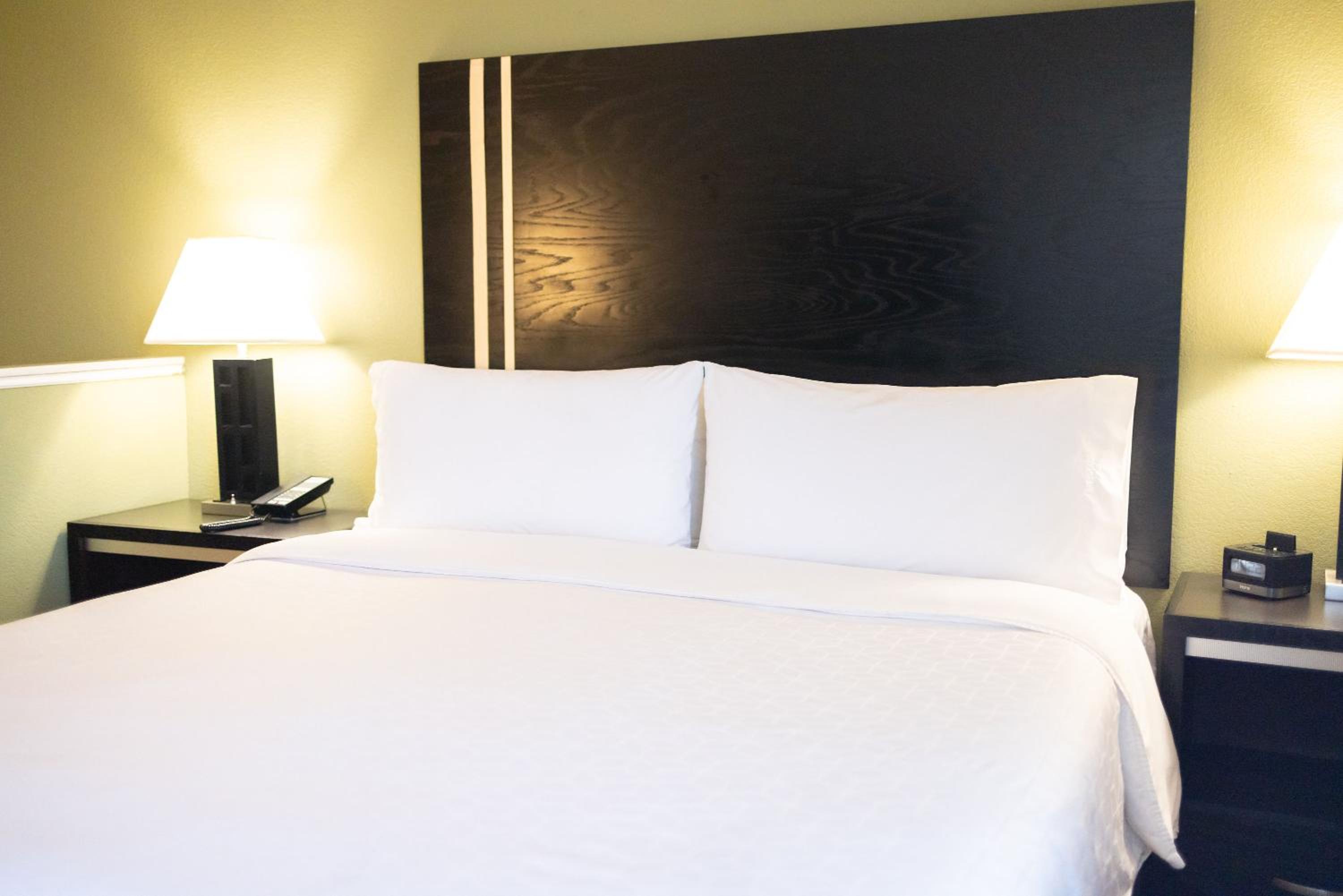 King Suite - Photo 7