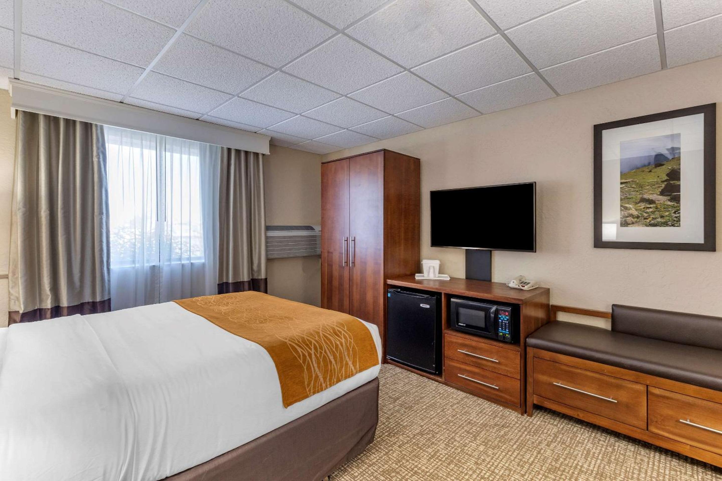 Standard Queen Room with Transfer Shower - Accessible/Non-Smoking photo 1