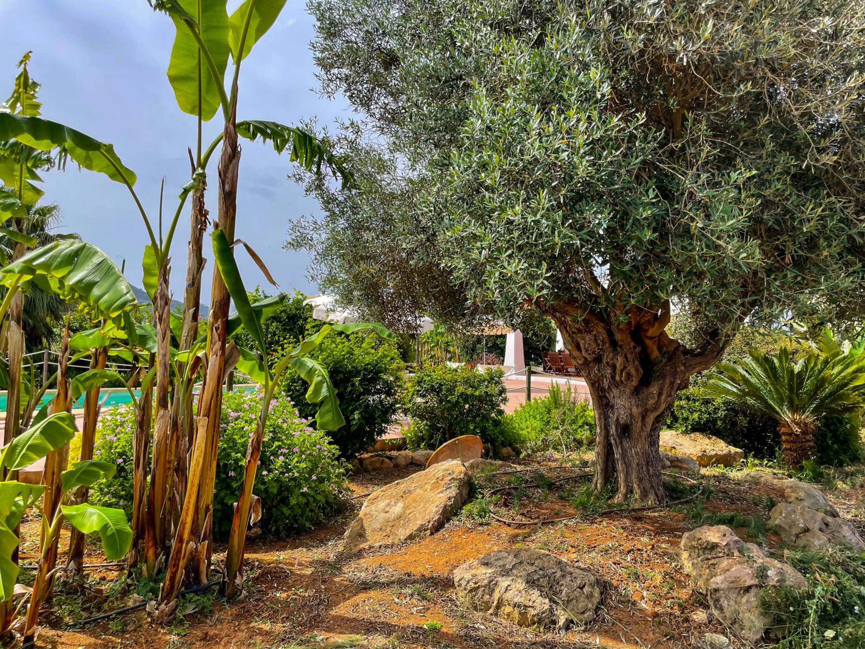 Villa with Garden View photo 2