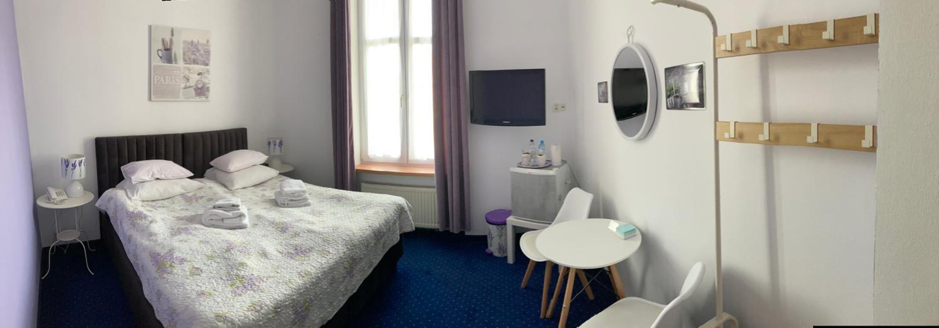 Double or Twin Room photo 3