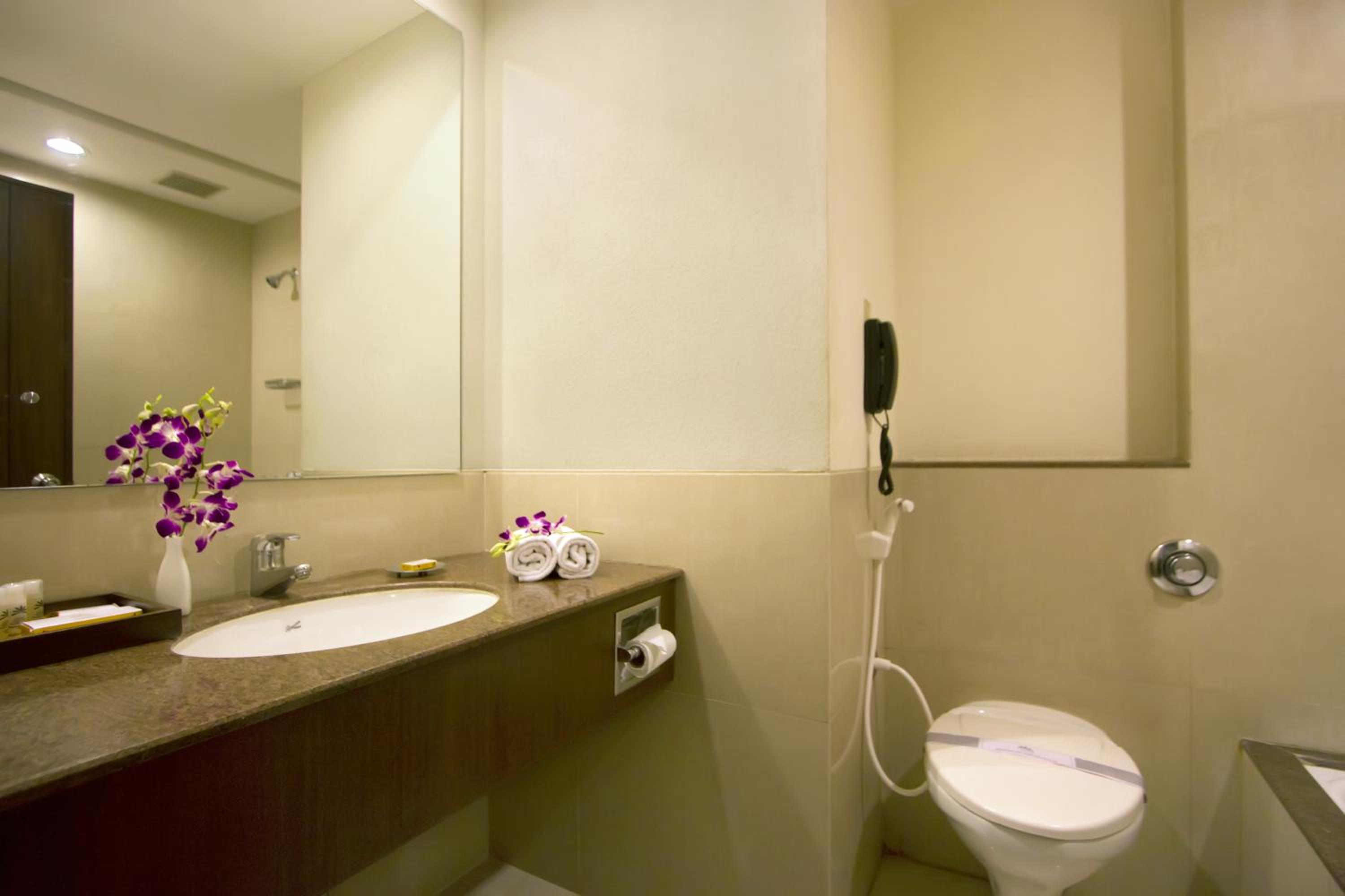 Executive Double or Twin Room photo 2