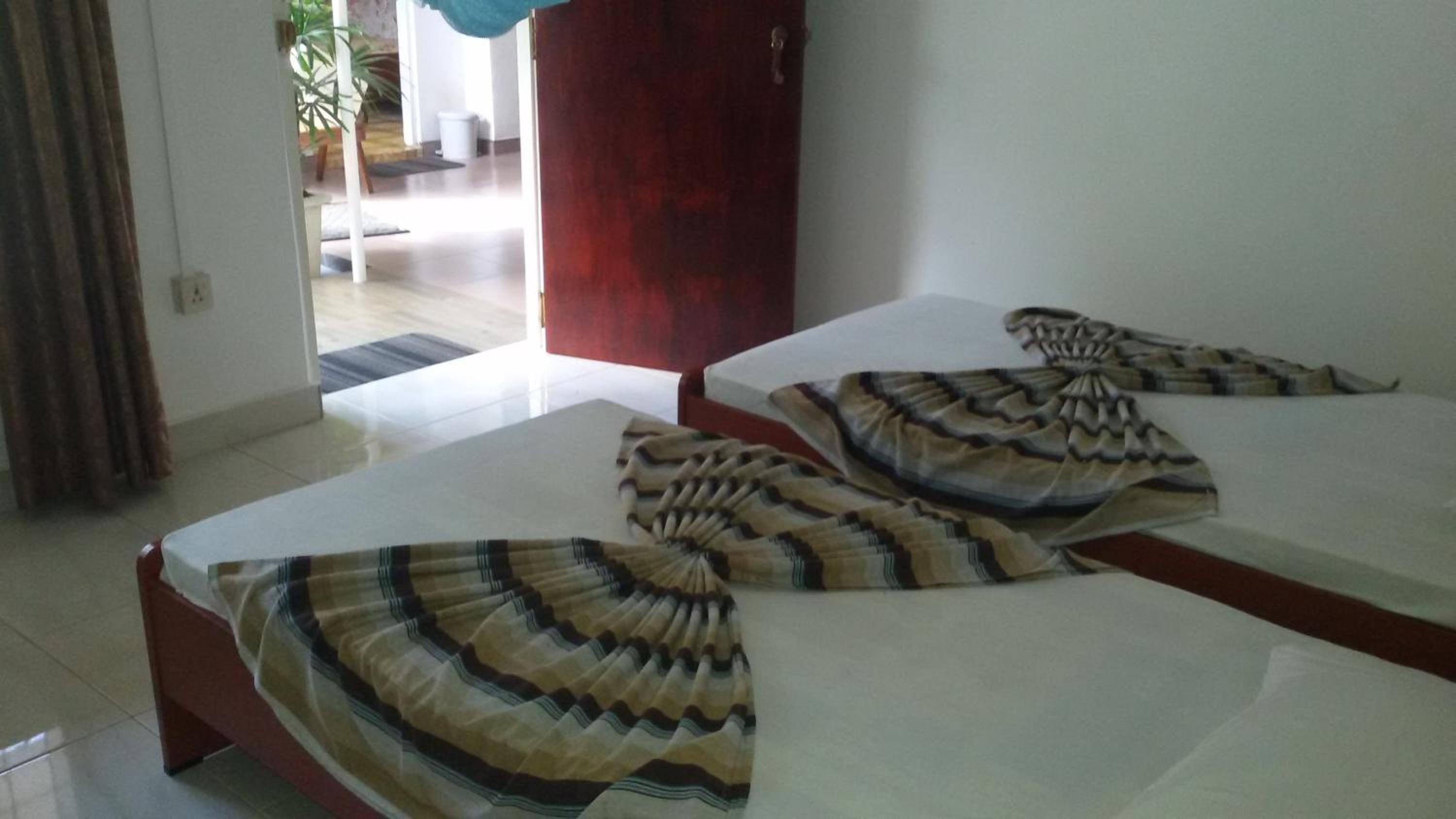 Single Room photo 1