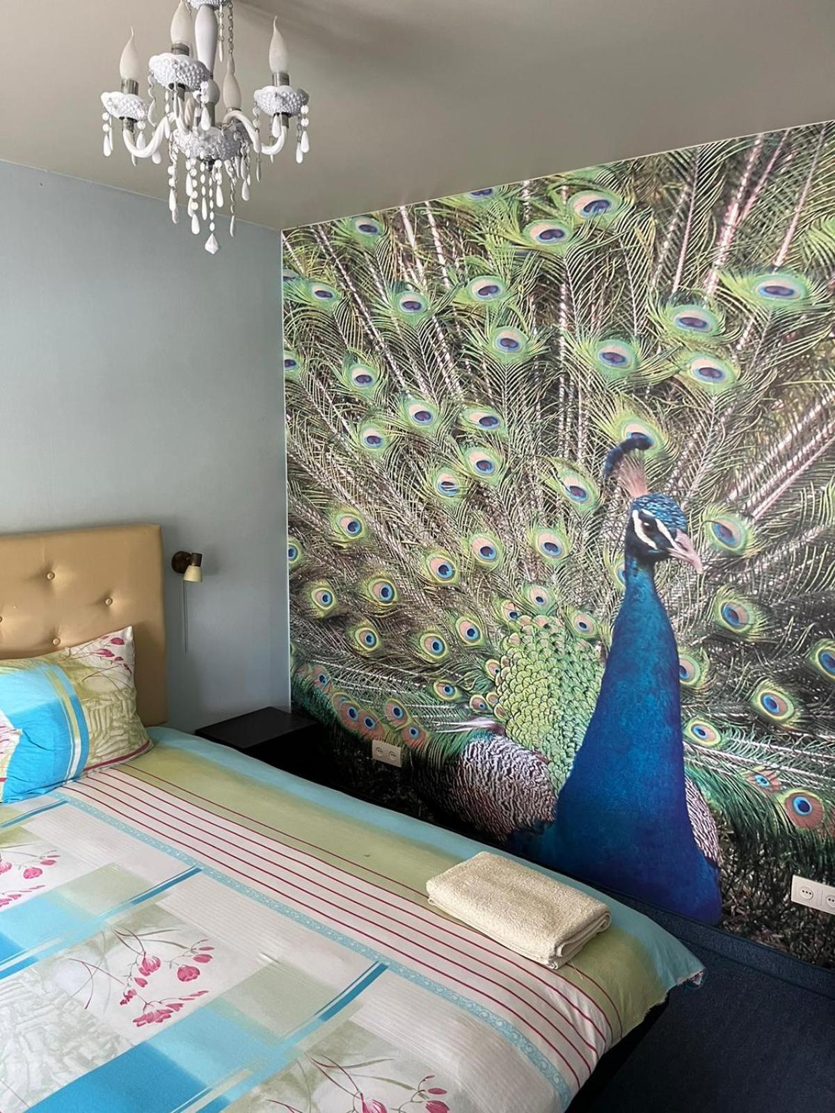 Budget Double Room - Photo 6