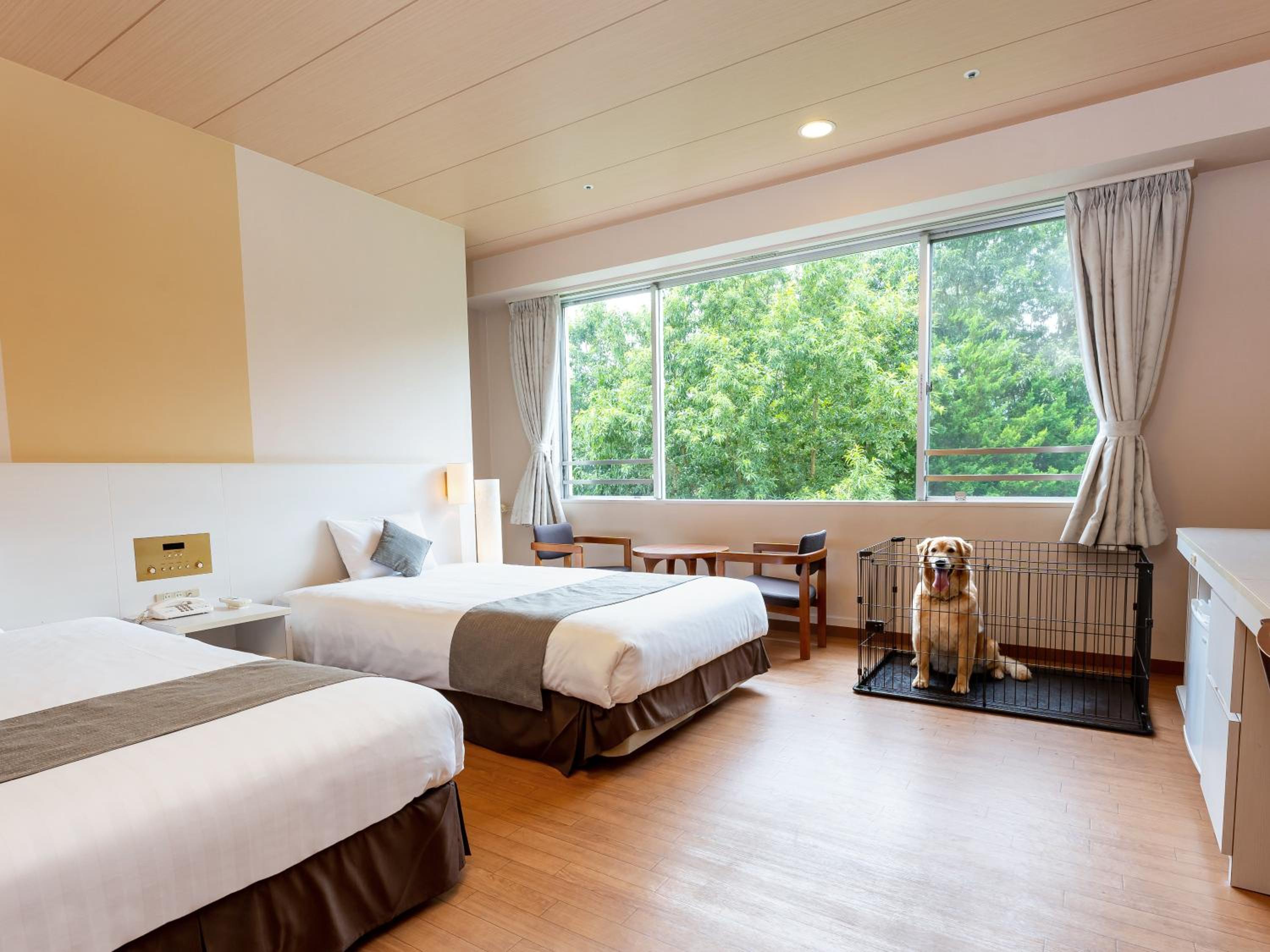 Dog Friendly room, Standard Twin room