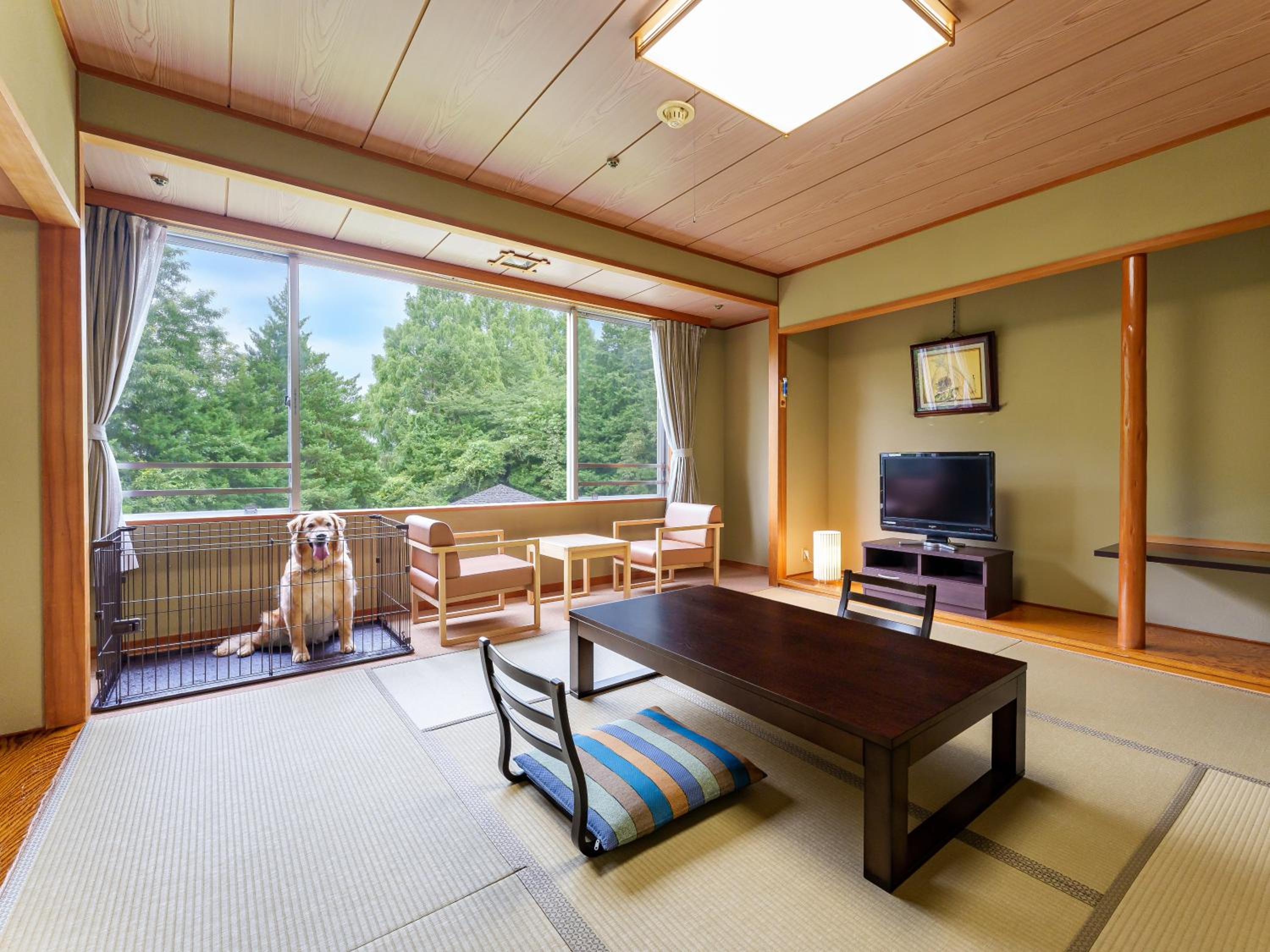 Dog Friendly room Japanese style room 8 tatami