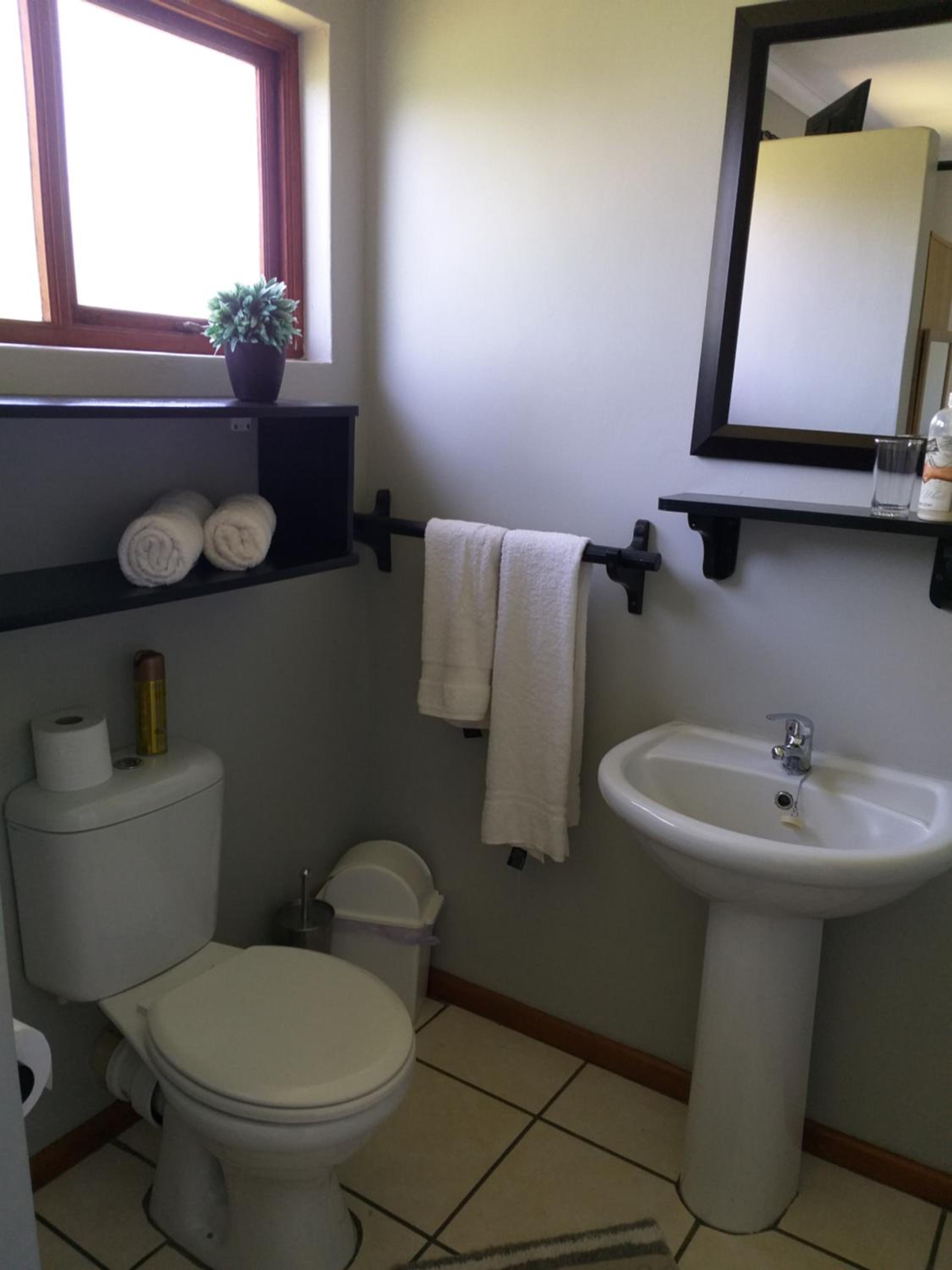 Single Room photo 3