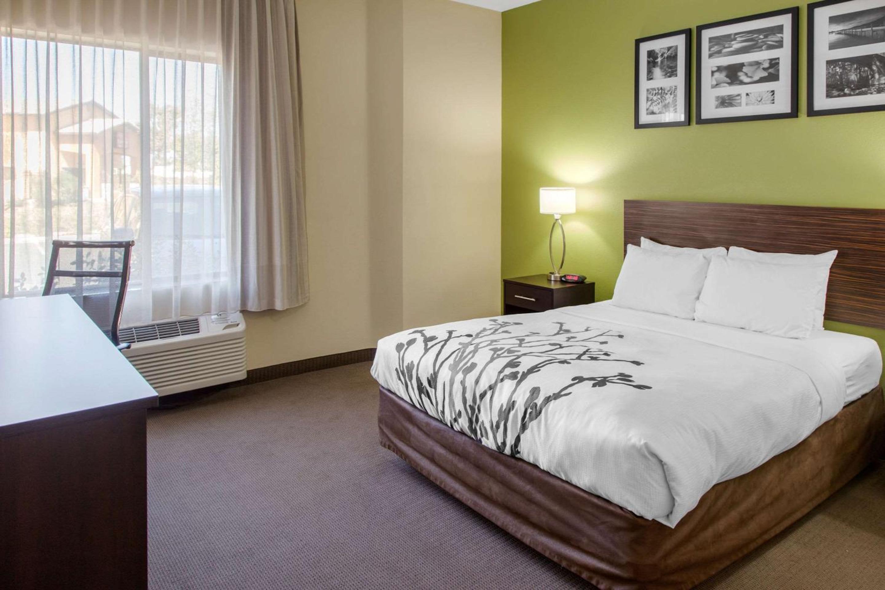 Queen Room - Photo 1
