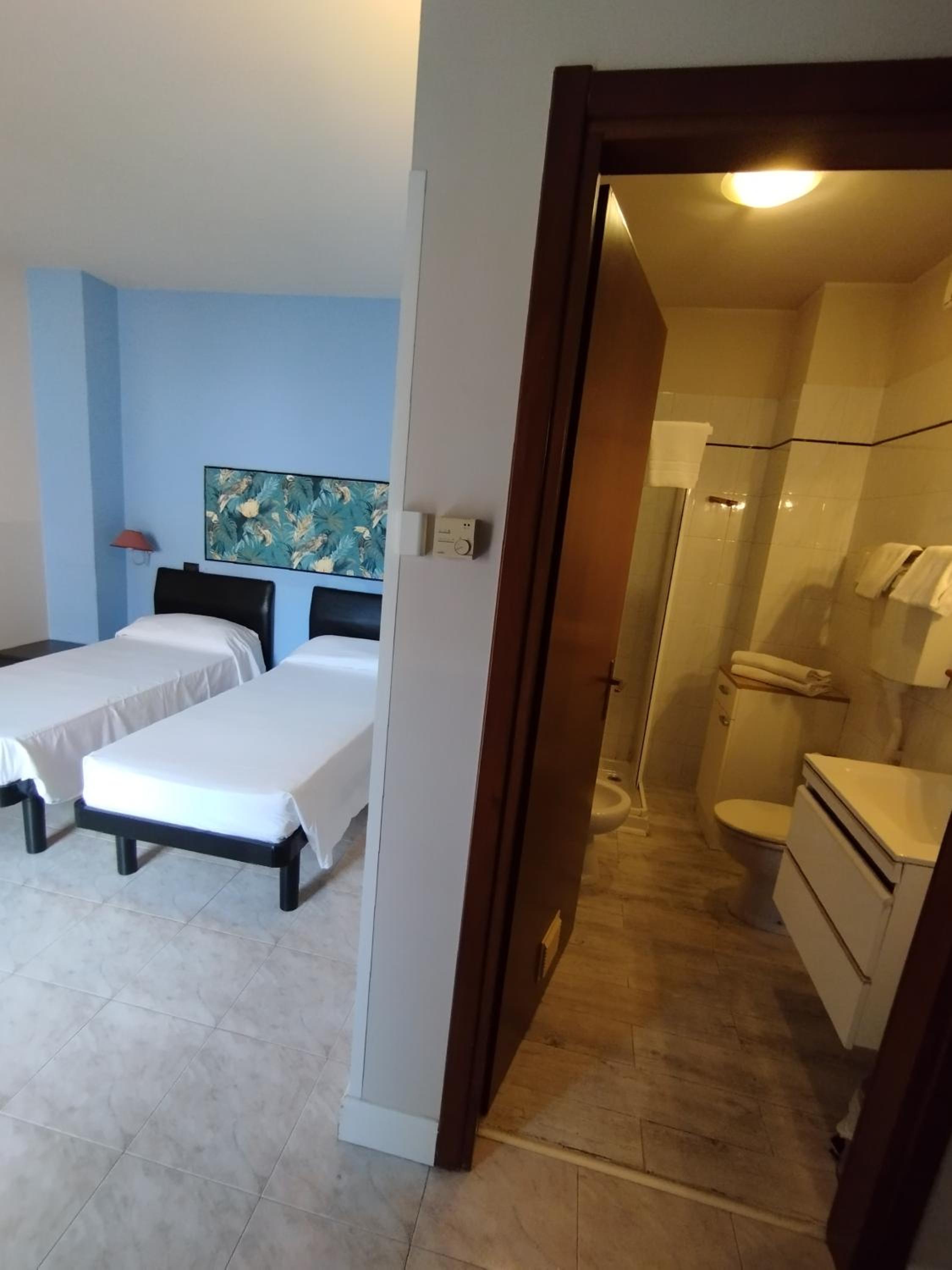Double or Twin Room photo 3