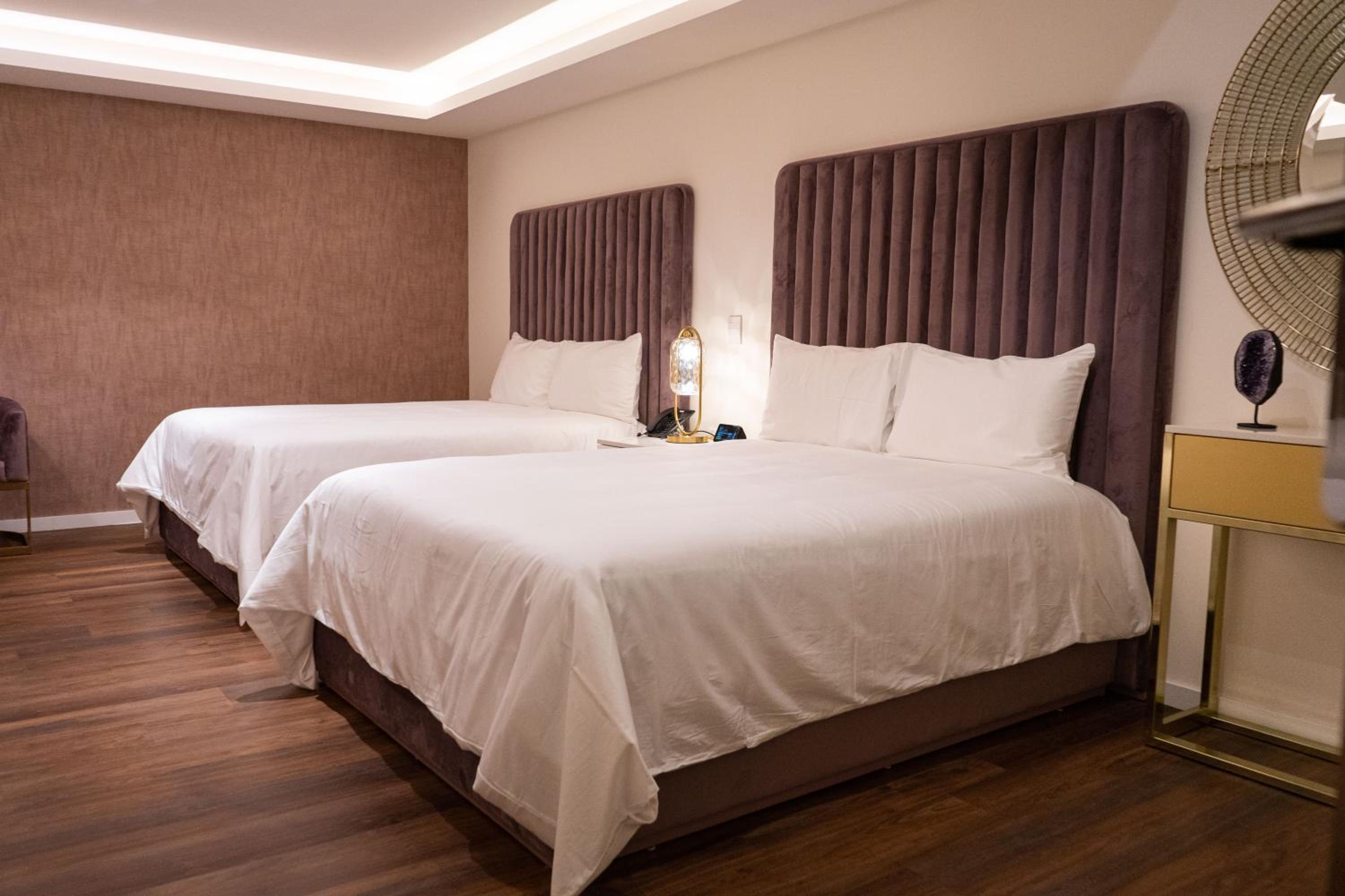 Standard Suite - Photo 1