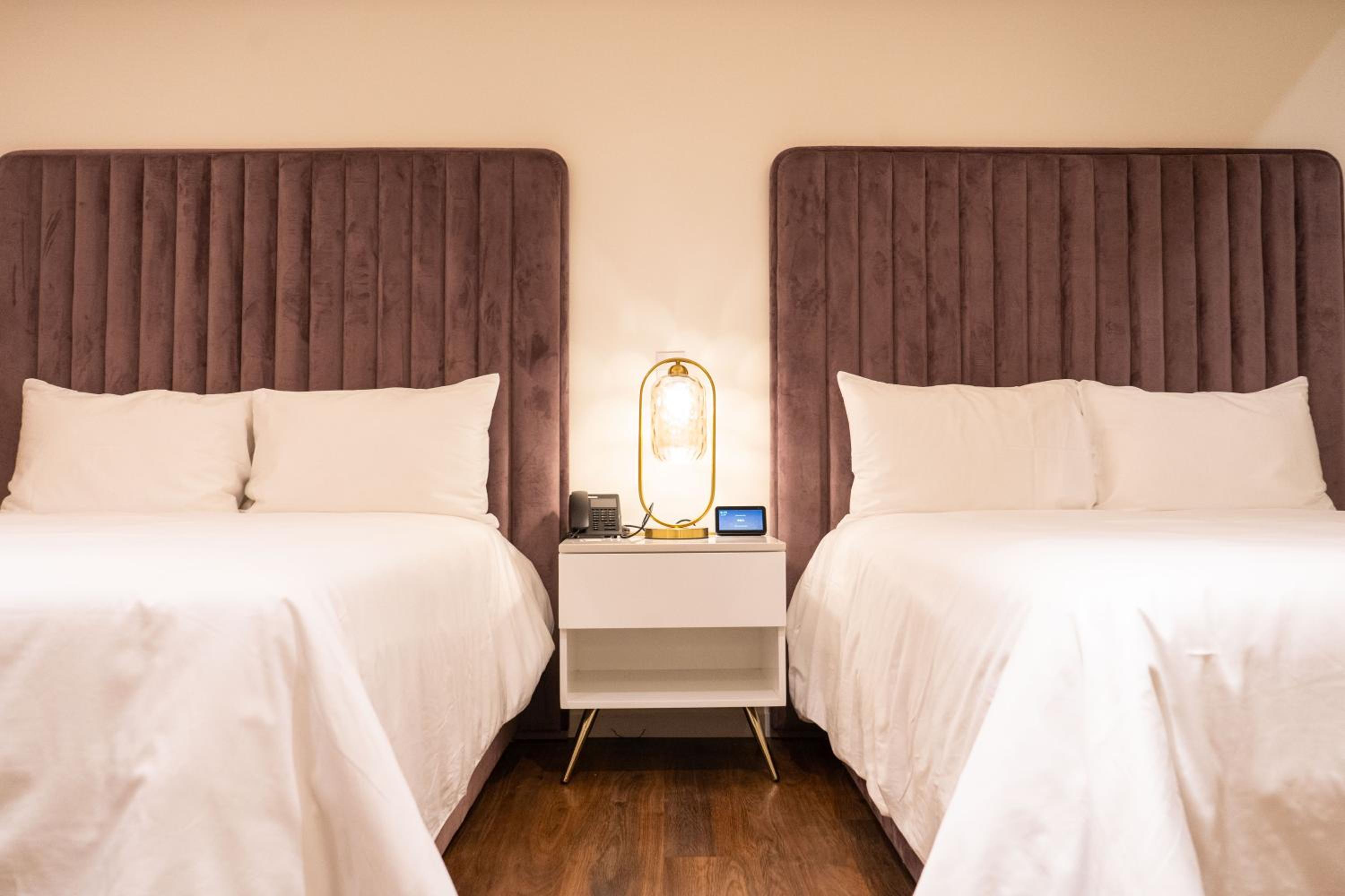 Standard Suite - Photo 6