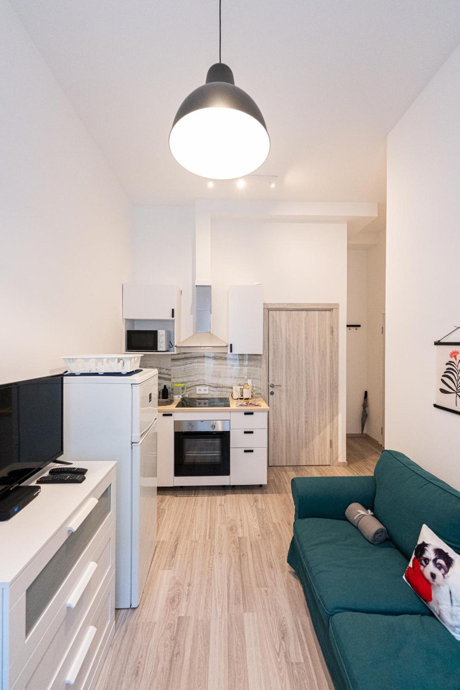 One-Bedroom Apartment thumbnail 6