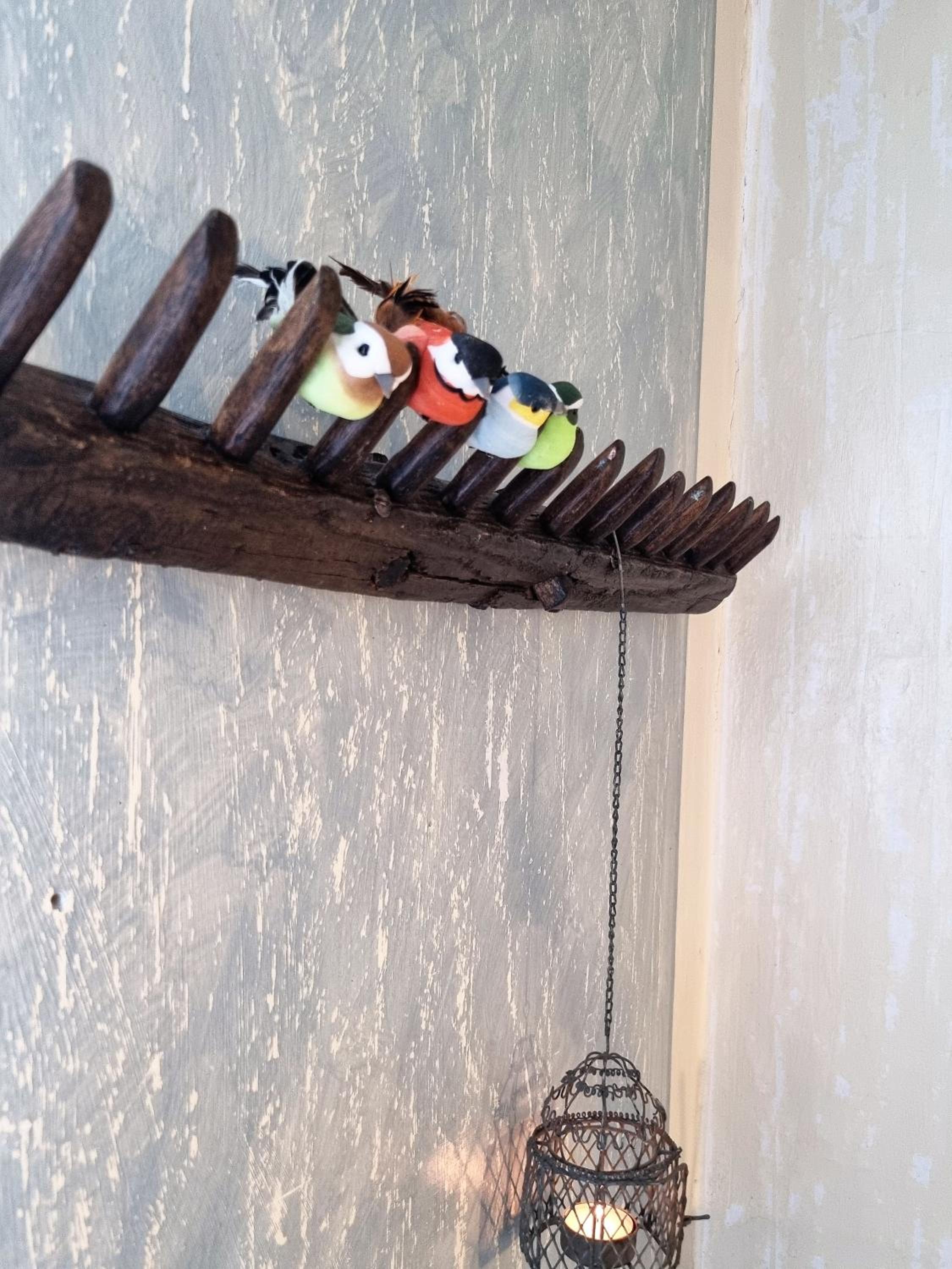 King Room - Photo 5