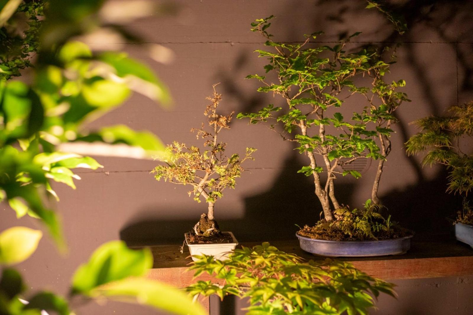 Apartment with Garden View - Photo 19