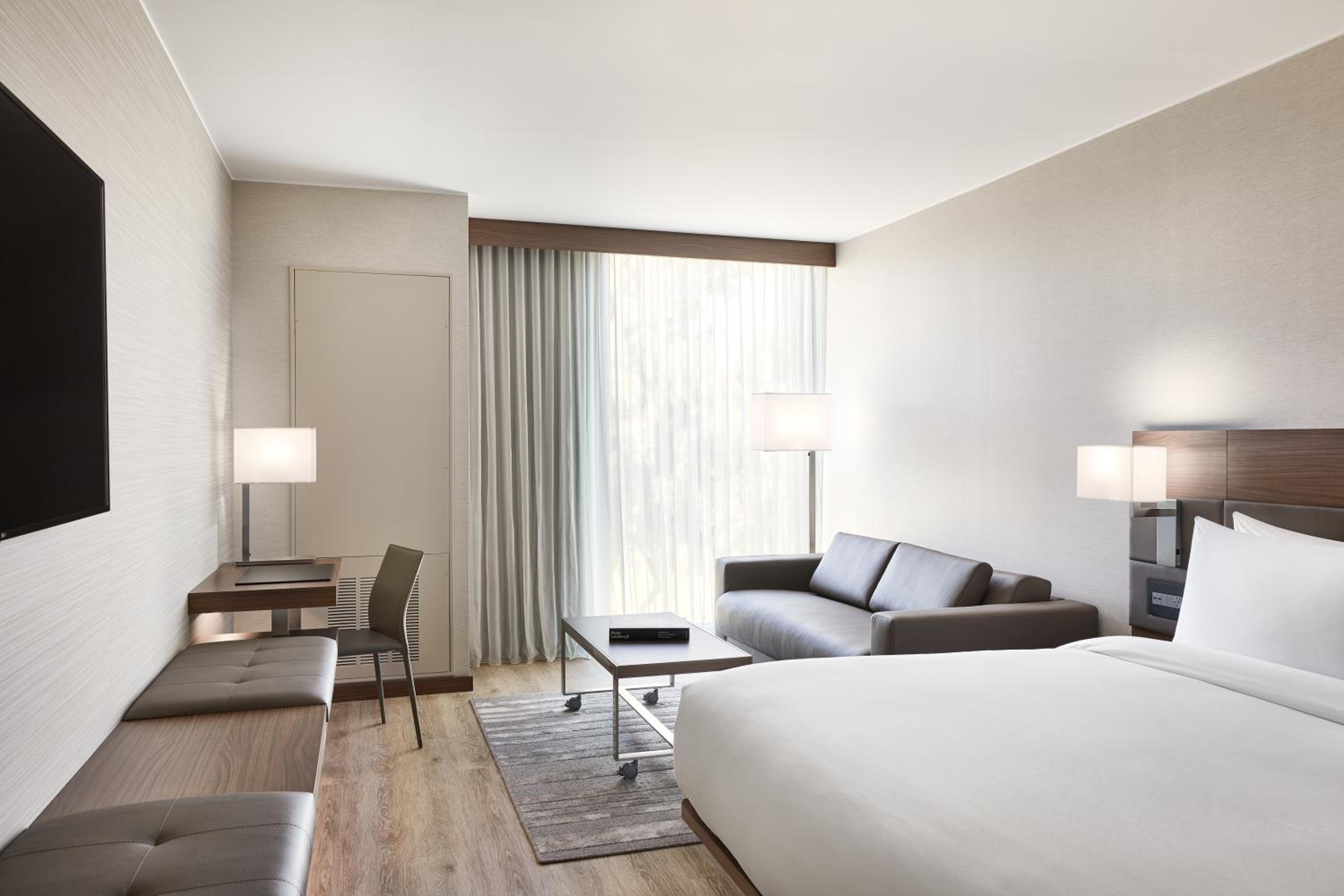 King Room with Sofa Bed
