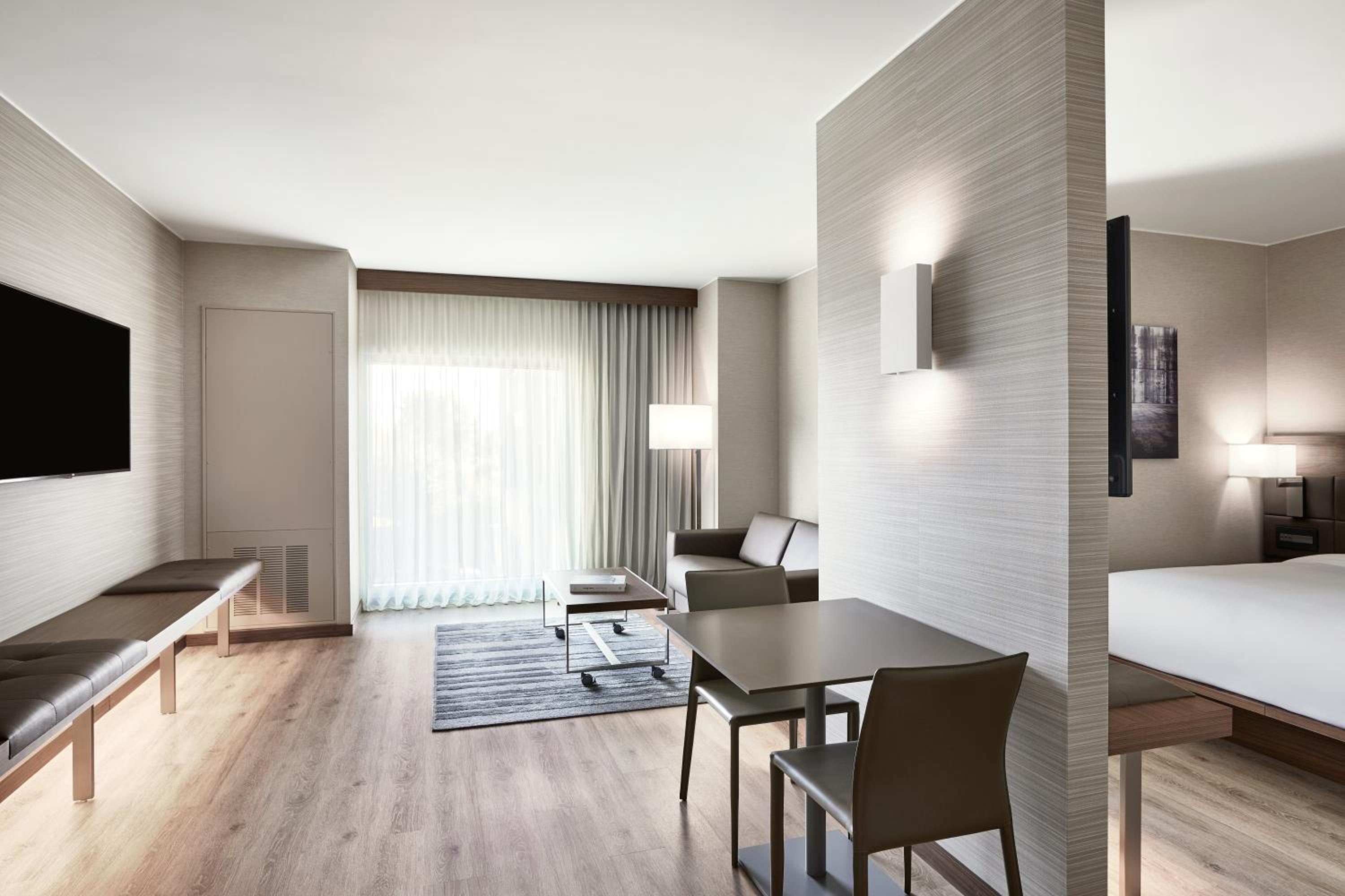 Larger Studio with King Bed and Sofa Bed