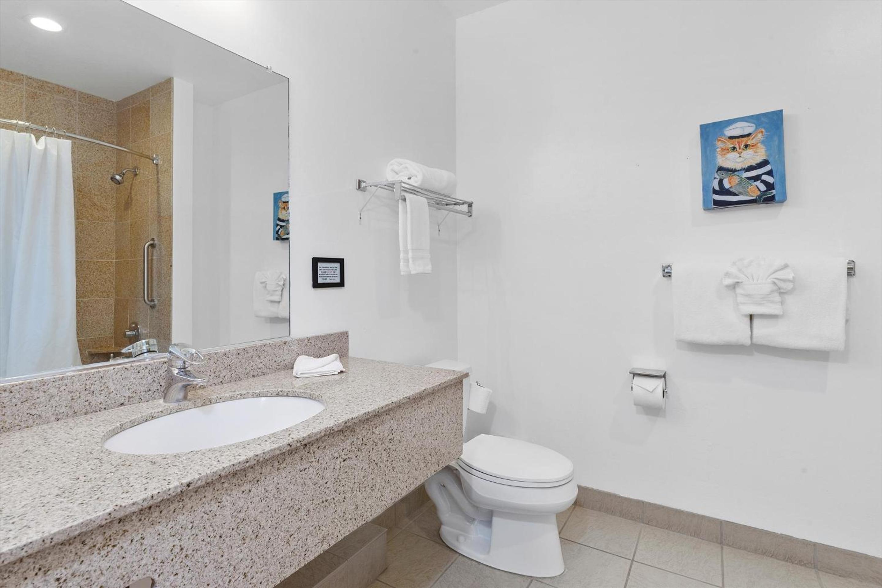 King Suite with Ocean View - Photo 13