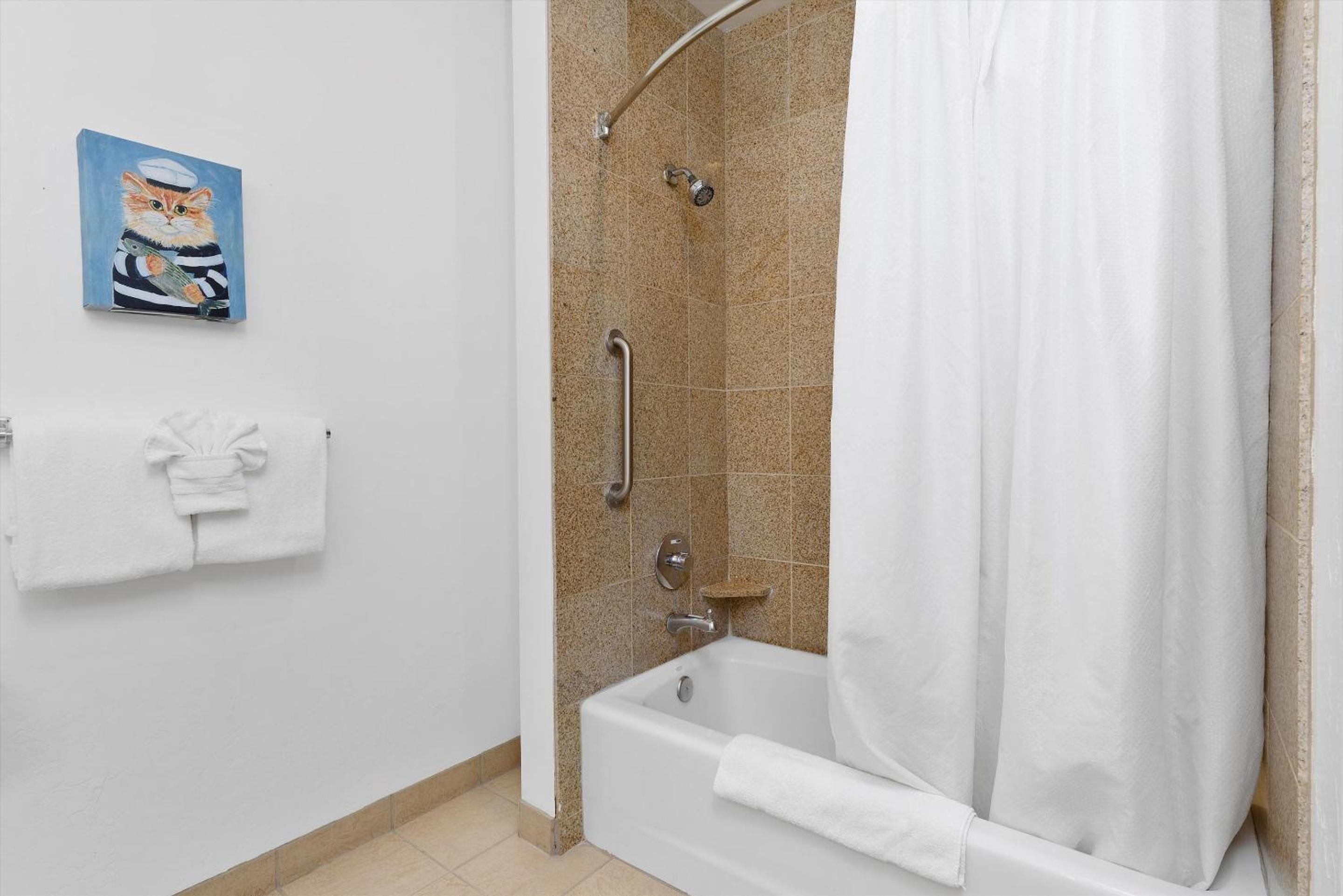King Suite with Ocean View - Photo 14