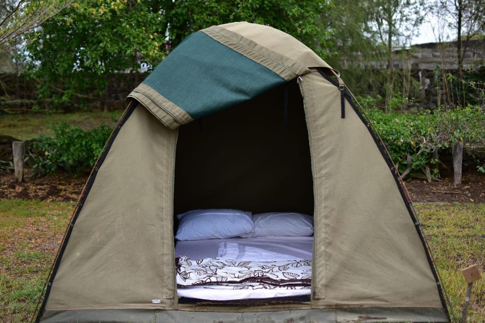 Tent photo 1