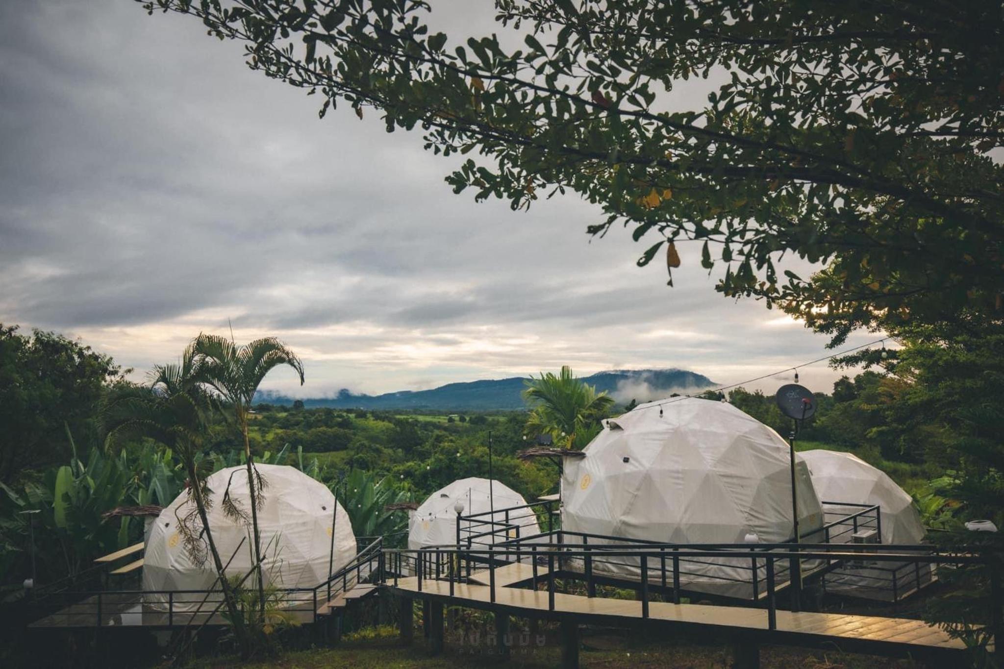 Tent - Photo 1