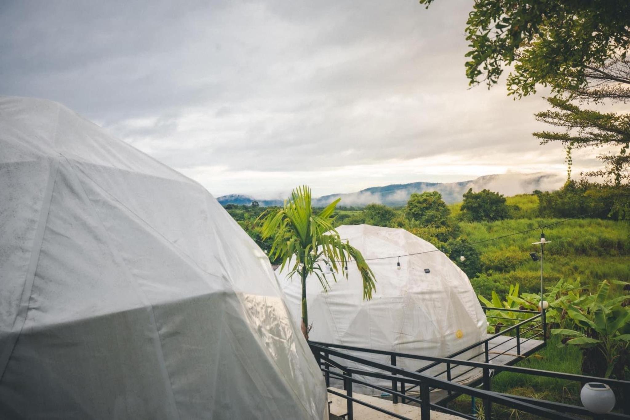 Tent - Photo 3