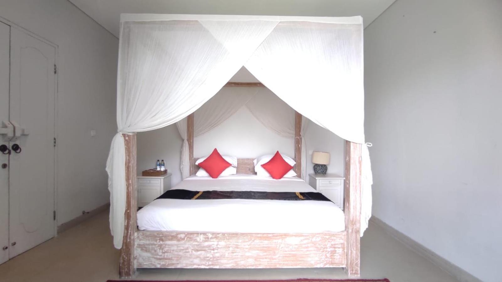 Suite - Photo 1
