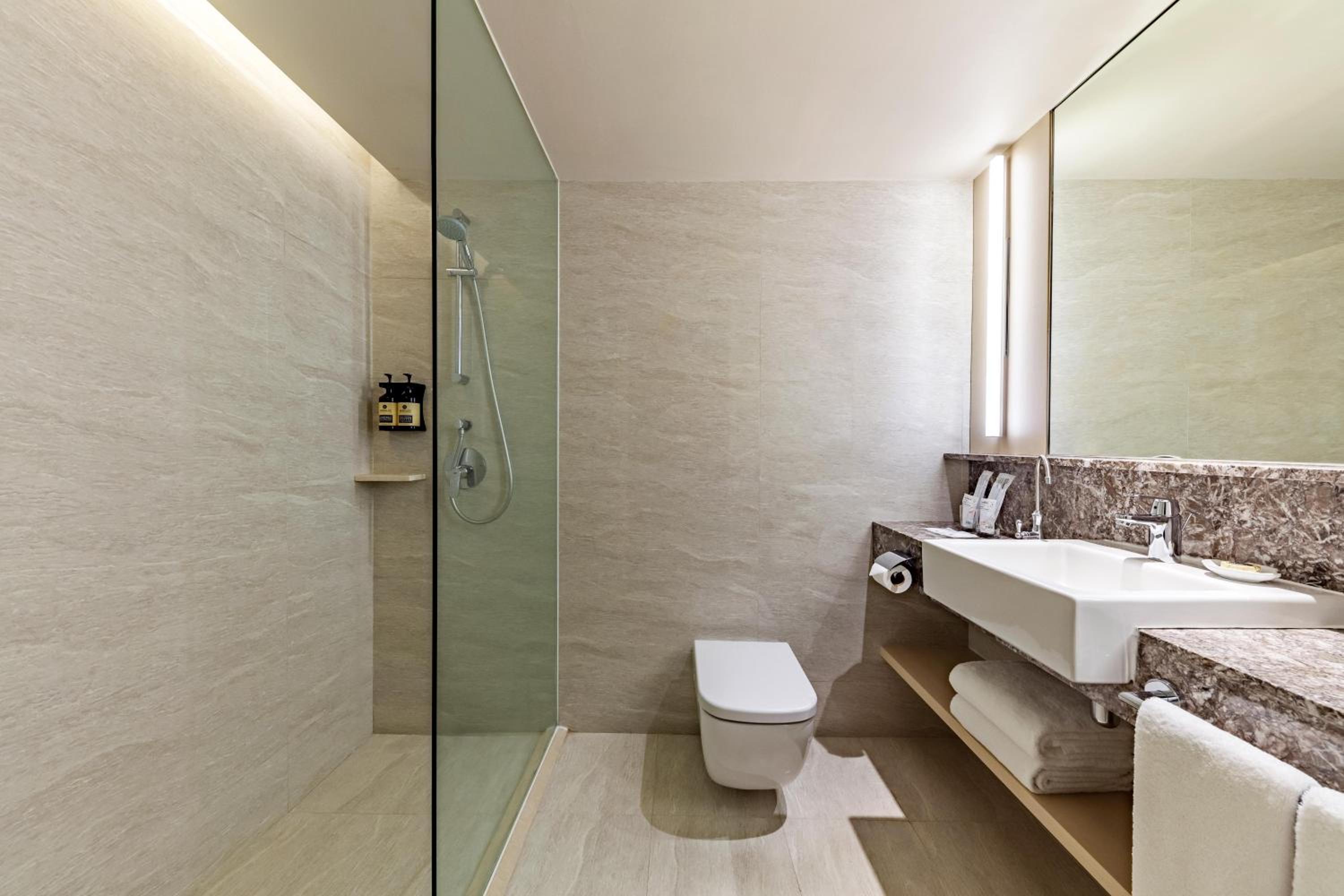 Deluxe Double or Twin Room photo 2