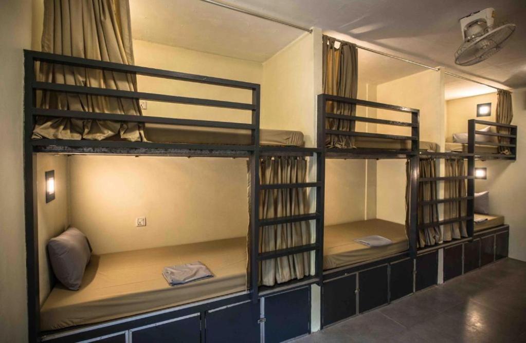 Bunk Bed in Mixed Dormitory Room photo 1