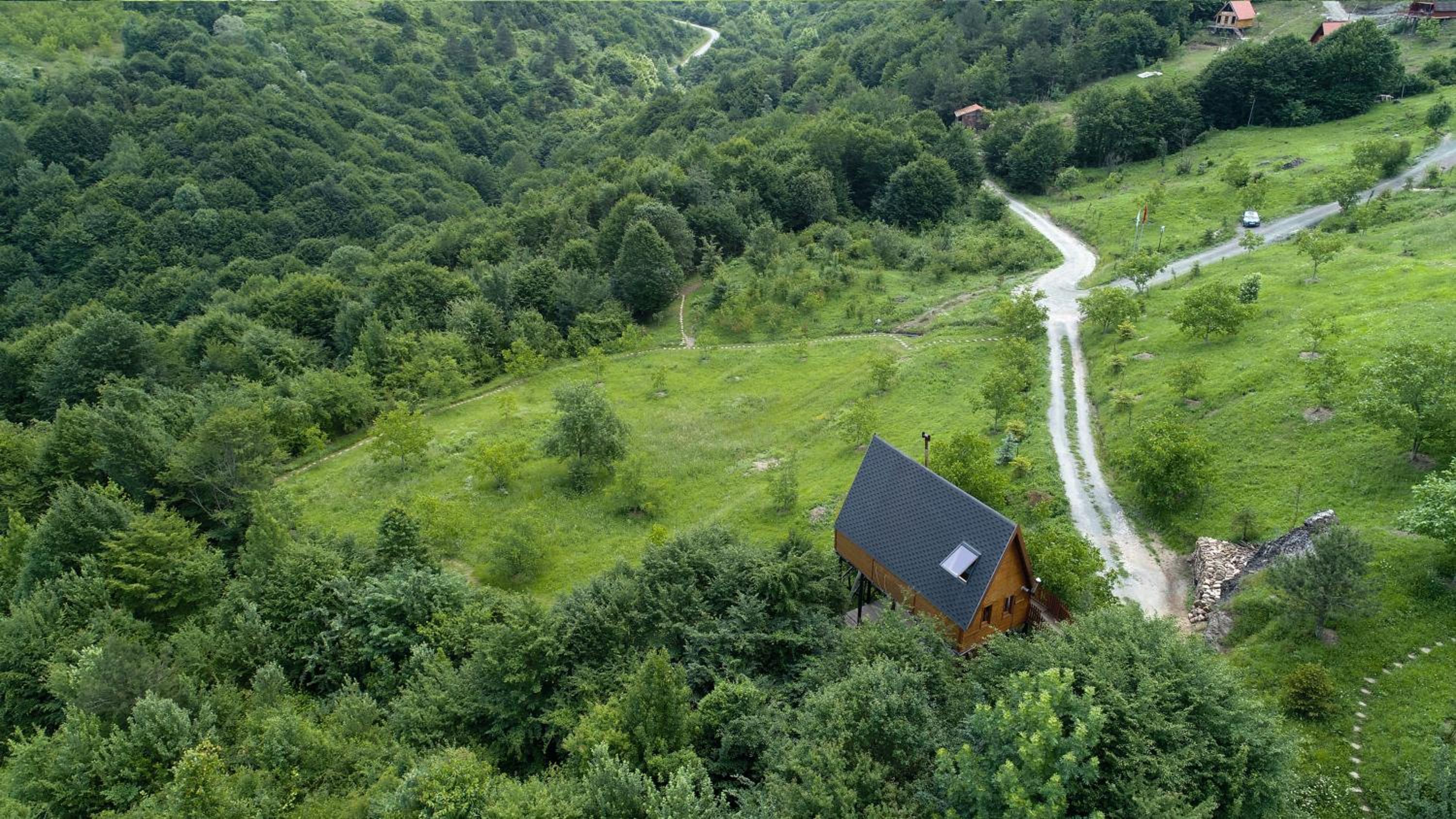 Cottage photo 2