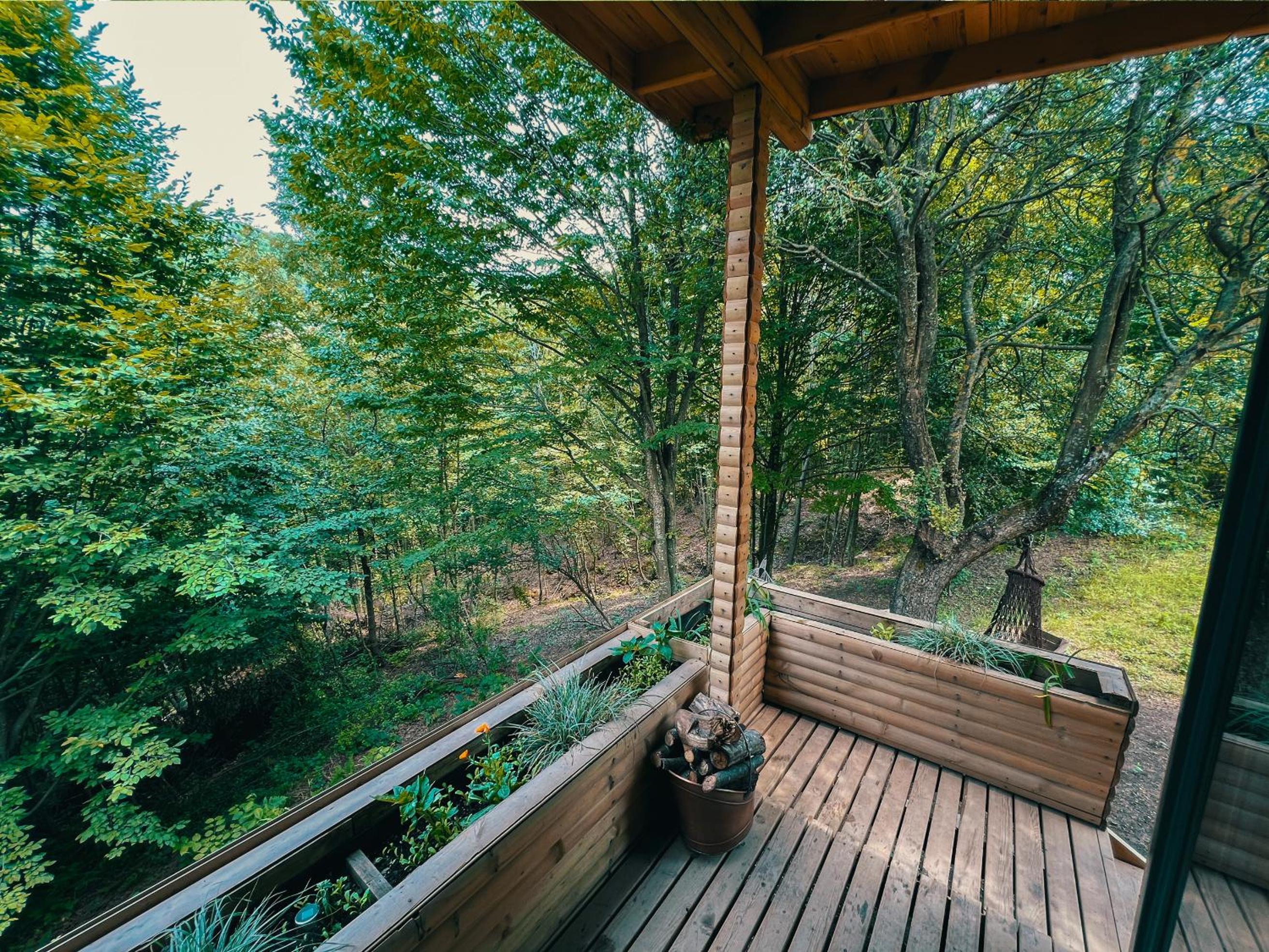 Bungalow with Garden View photo 2