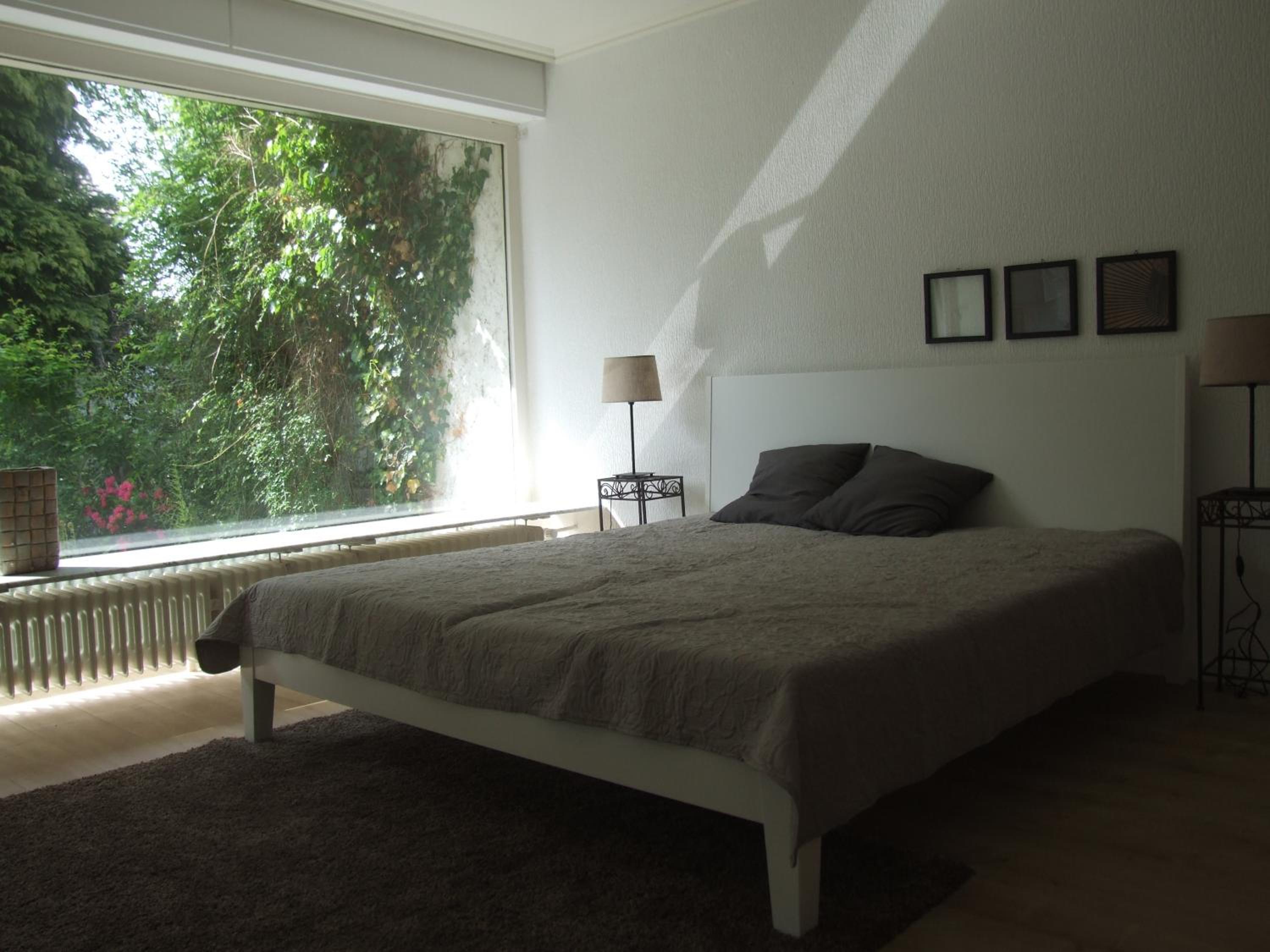 Apartment with Terrace photo 3