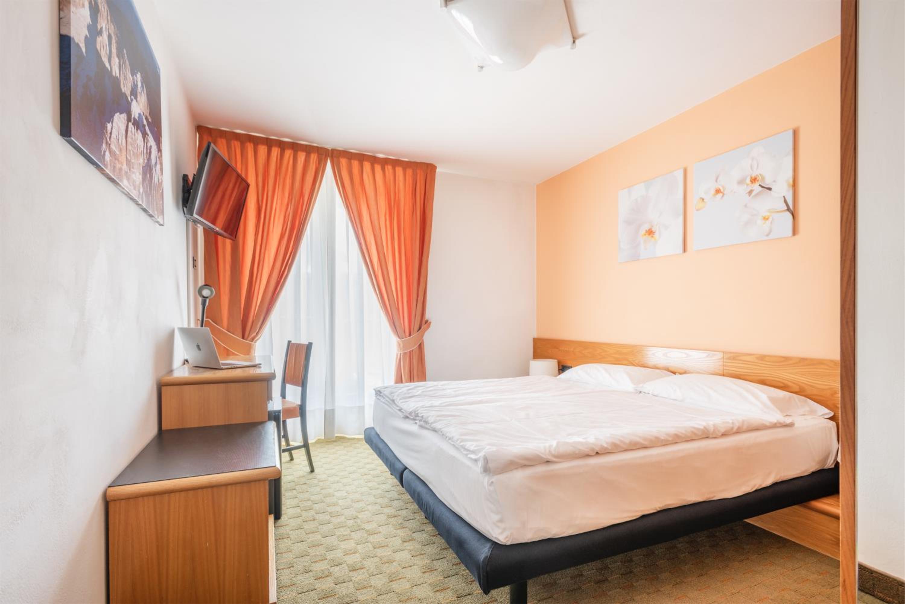 Double Room with Mountain View photo 1
