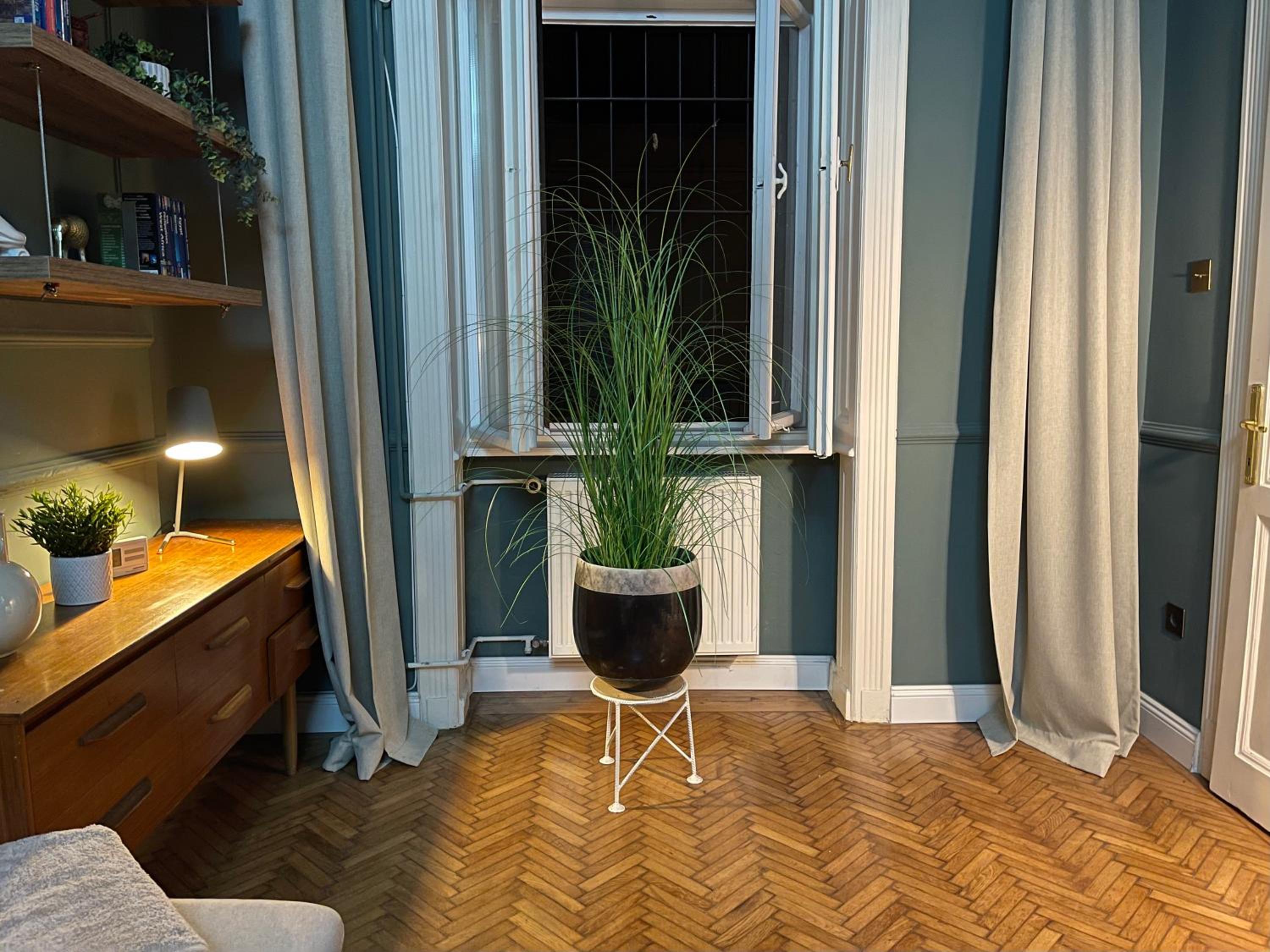 One-Bedroom Apartment - Photo 21