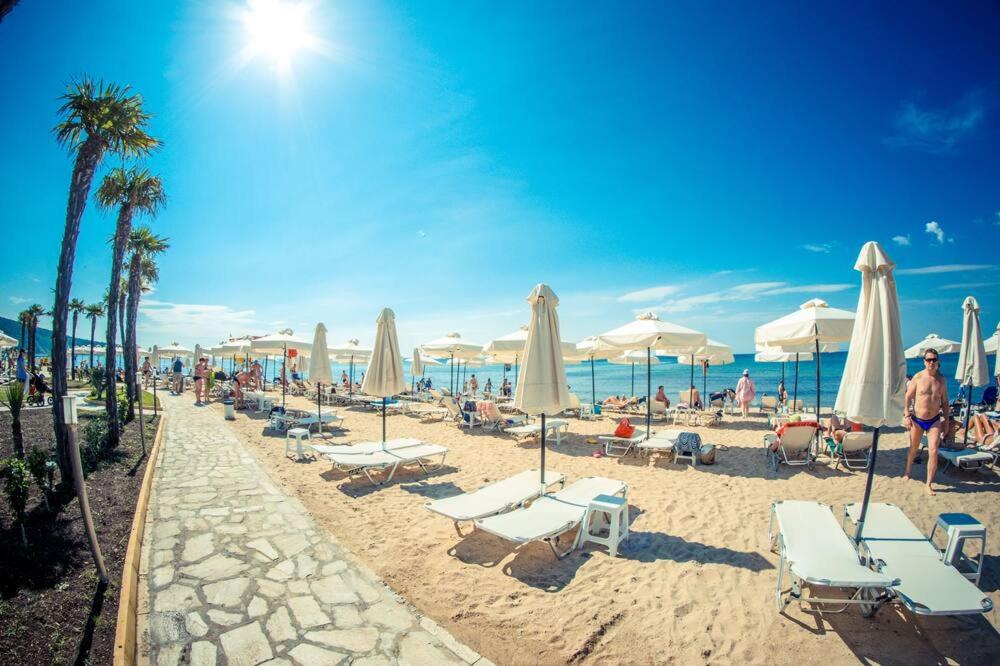 One-Bedroom Apartment photo 3