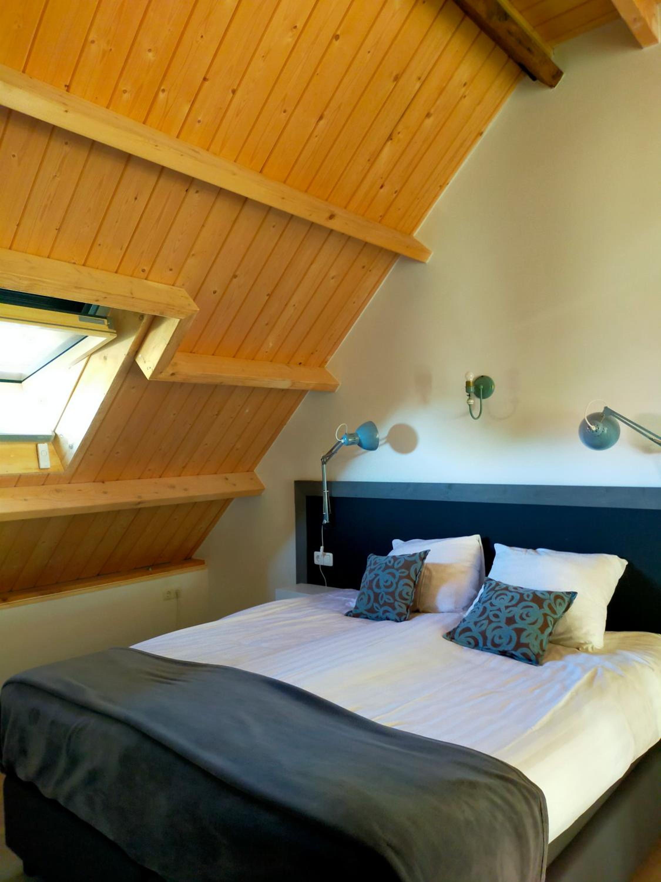 Suite - Photo 2