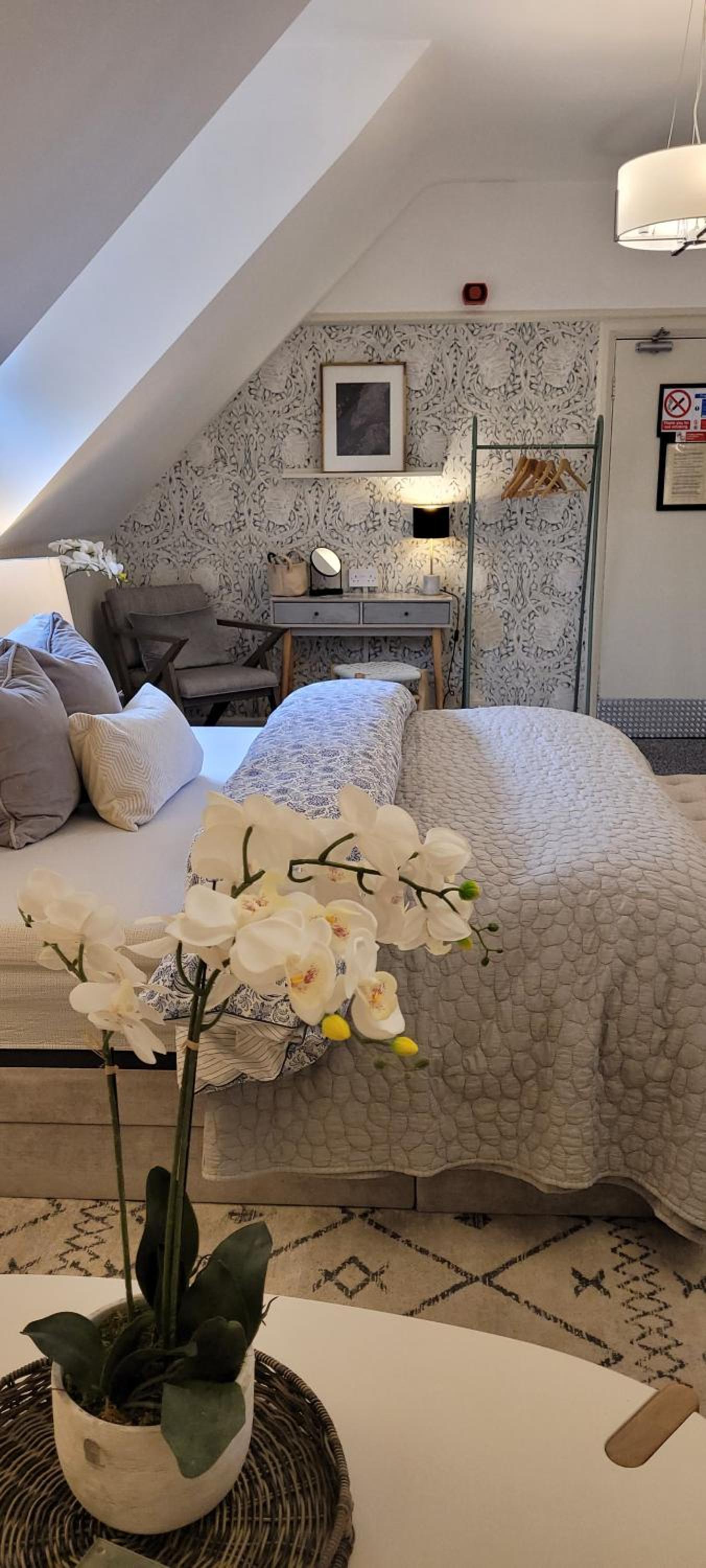Superior King Suite