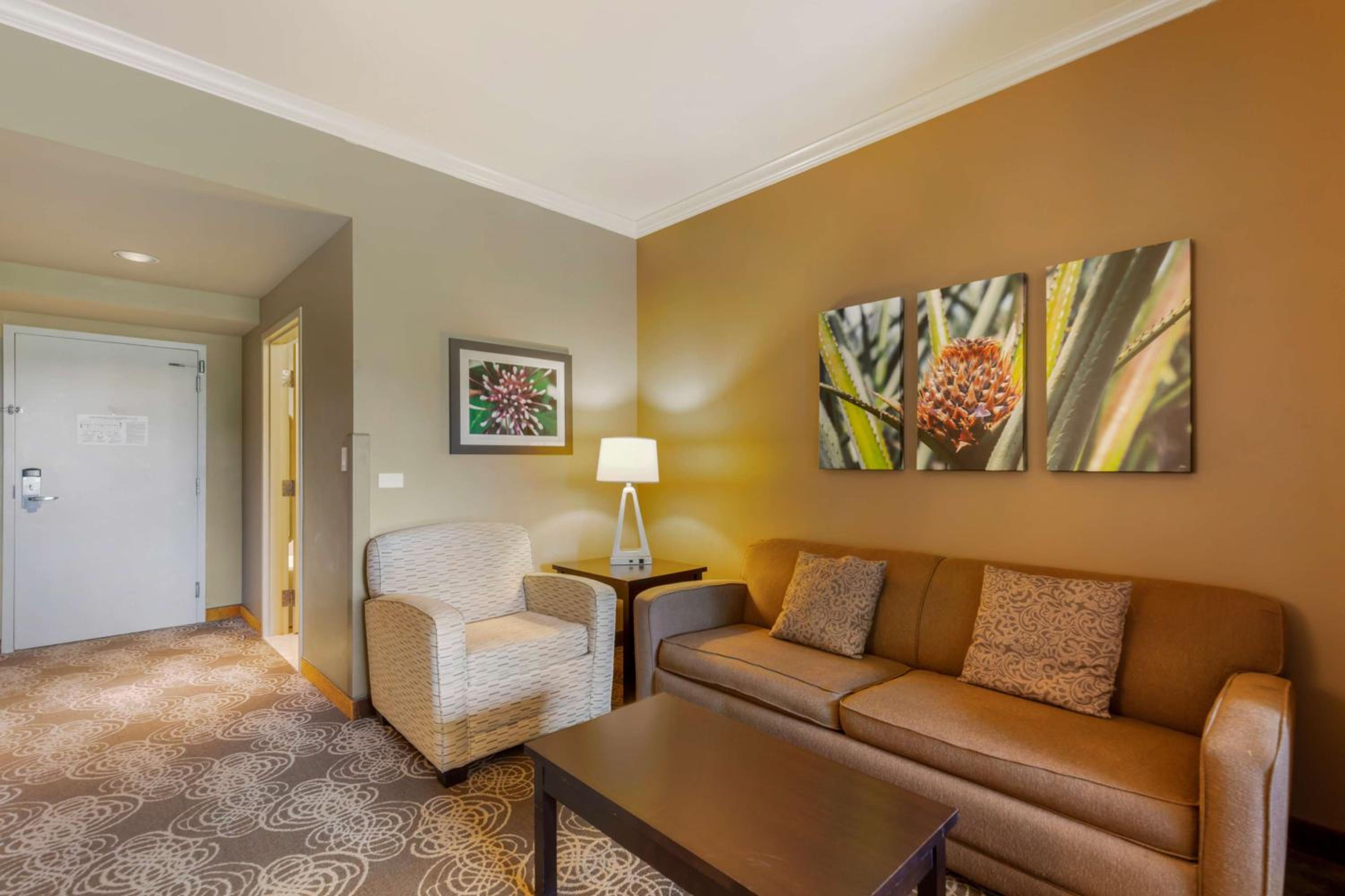 King Suite with Sofa Bed - Non-Smoking - Photo 5