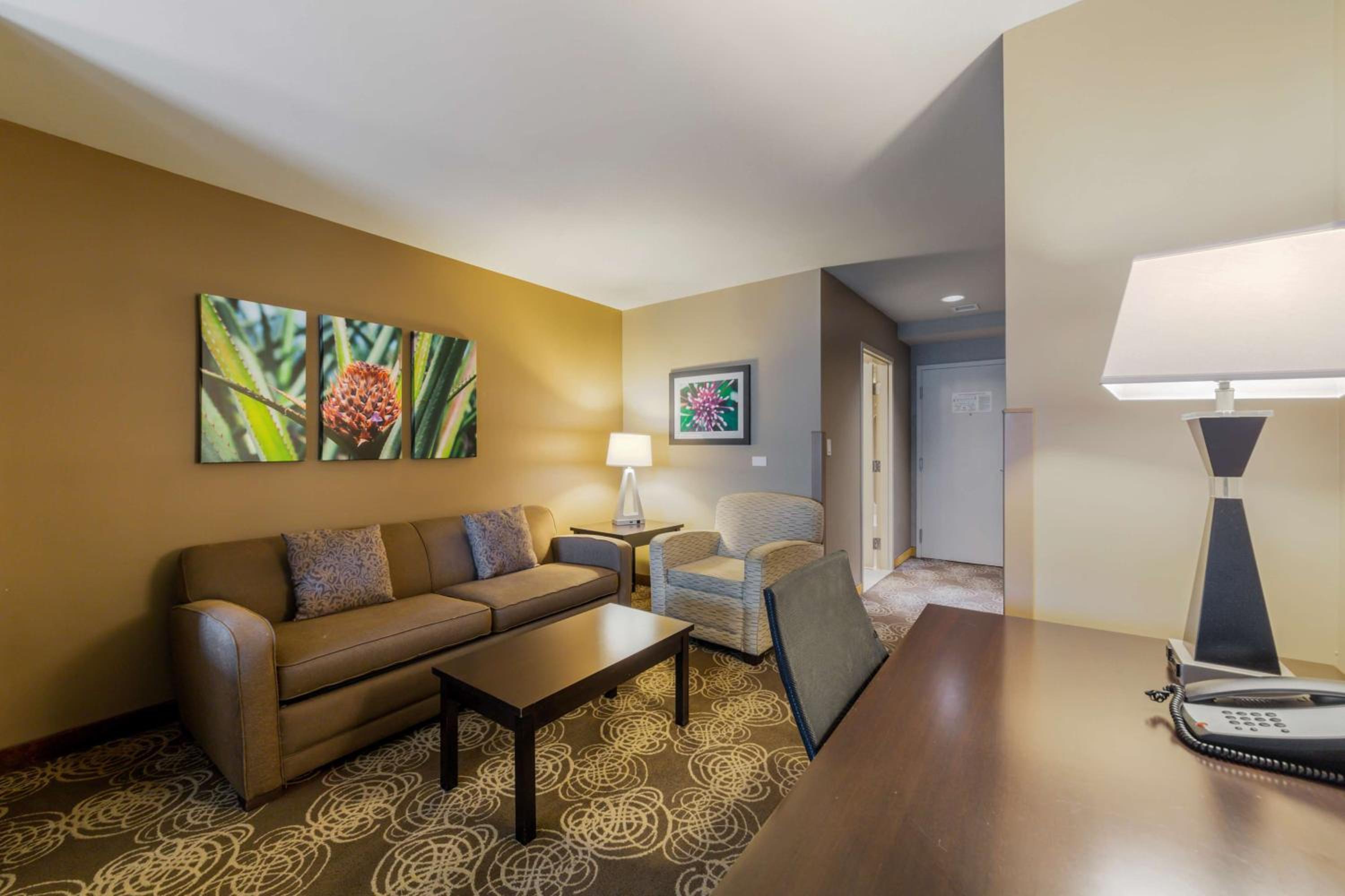 King Suite with Sofa Bed - Non-Smoking - Photo 3