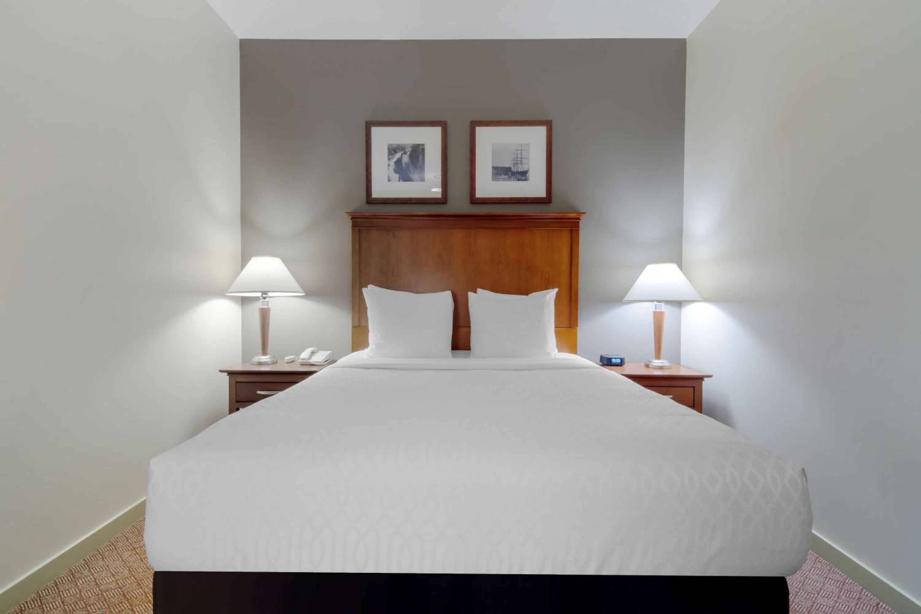 Queen Suite with Sofa Bed - Non-Smoking - Photo 1