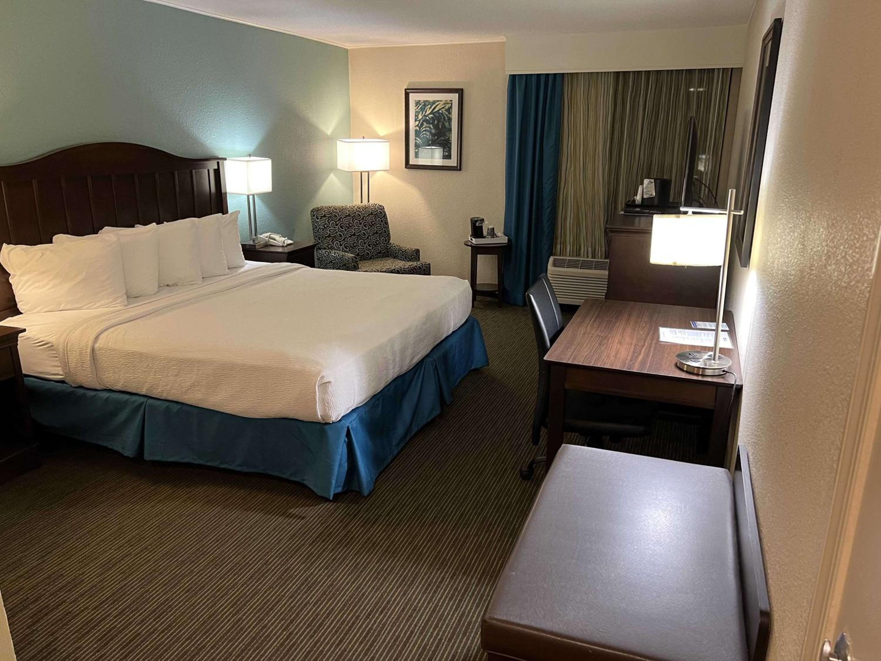 King Room - Non-Smoking/Pet Friendly photo 3