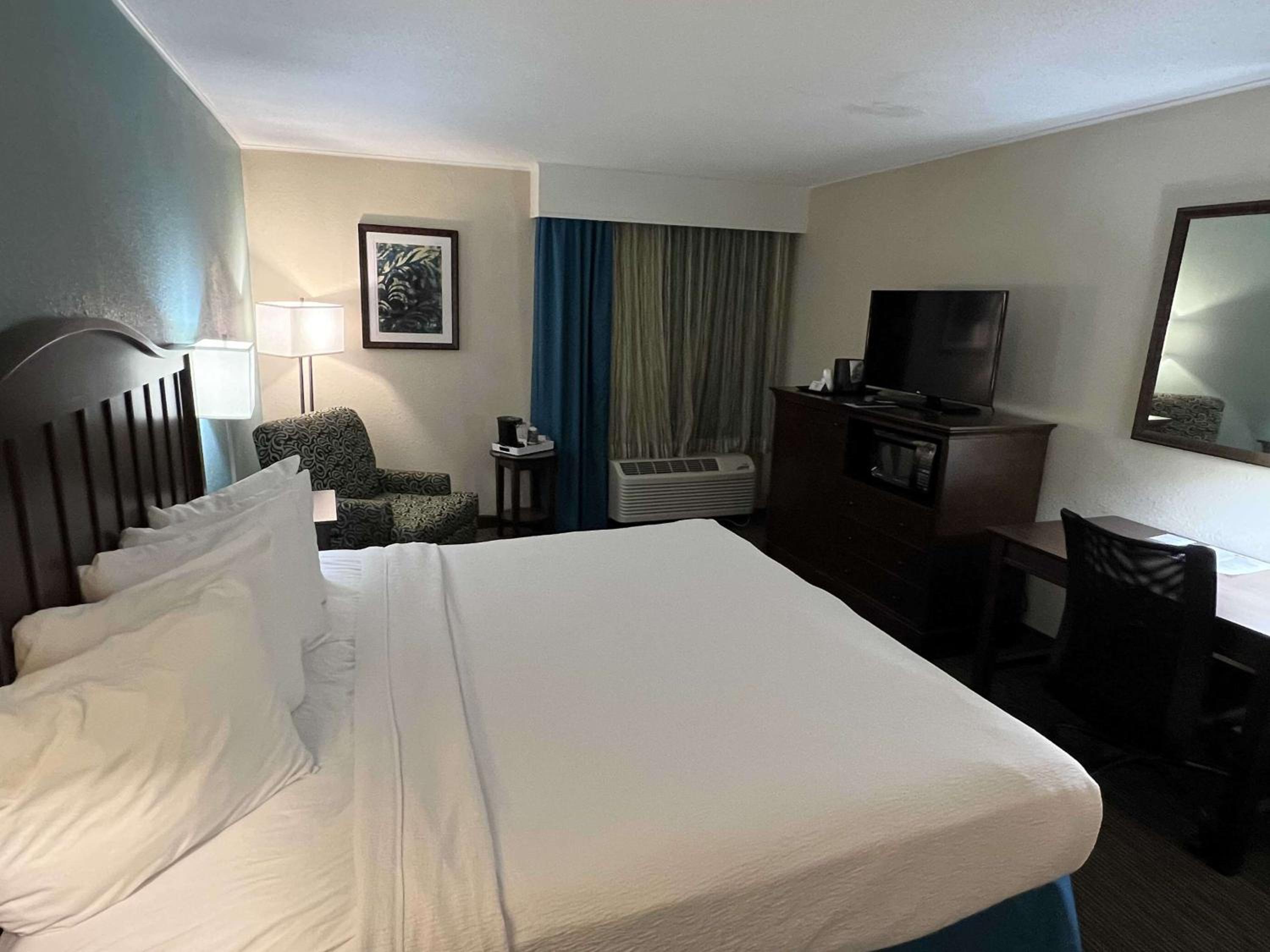 King Room - Non-Smoking/Pet Friendly photo 2