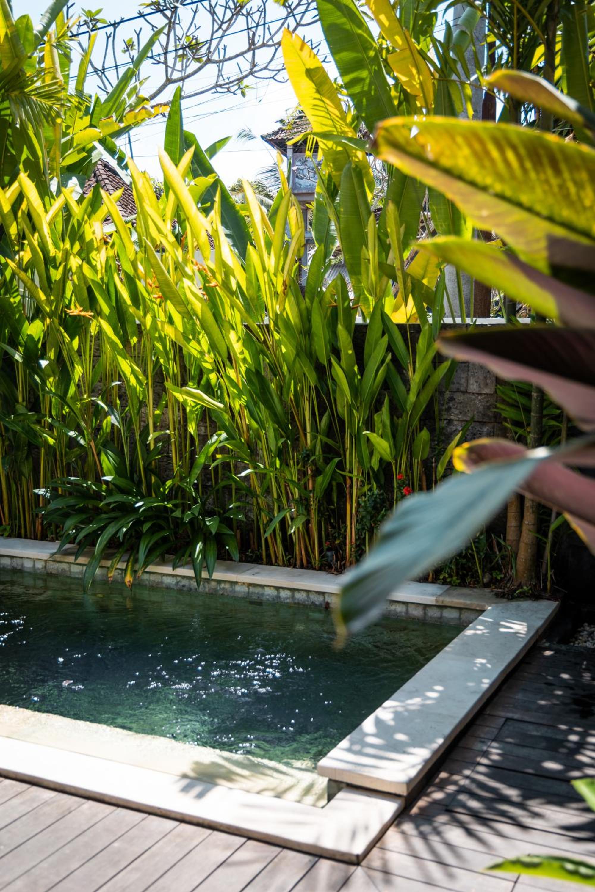 Villa with Private Pool - Photo 14