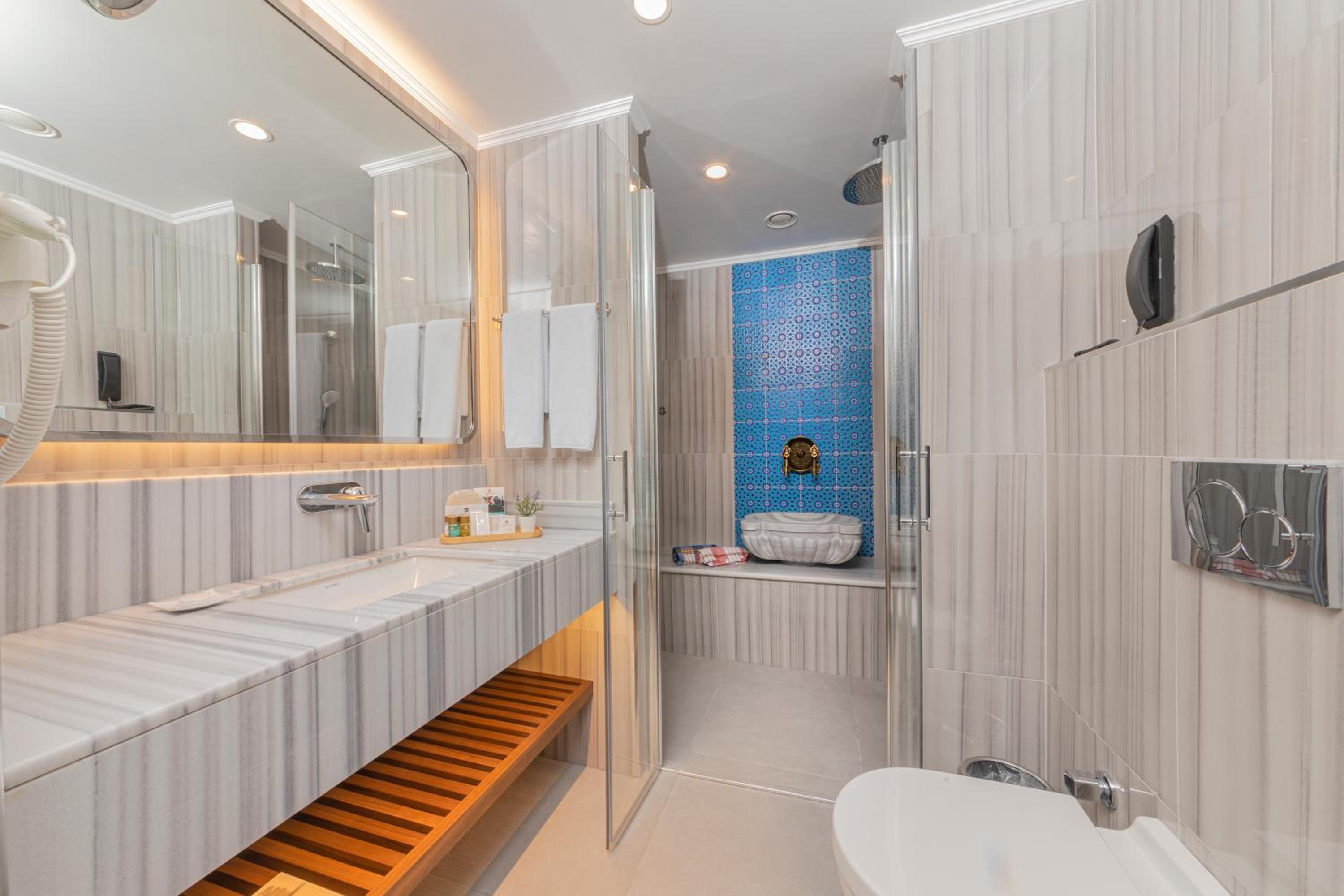 Executive Room with Turkish Bath photo 3