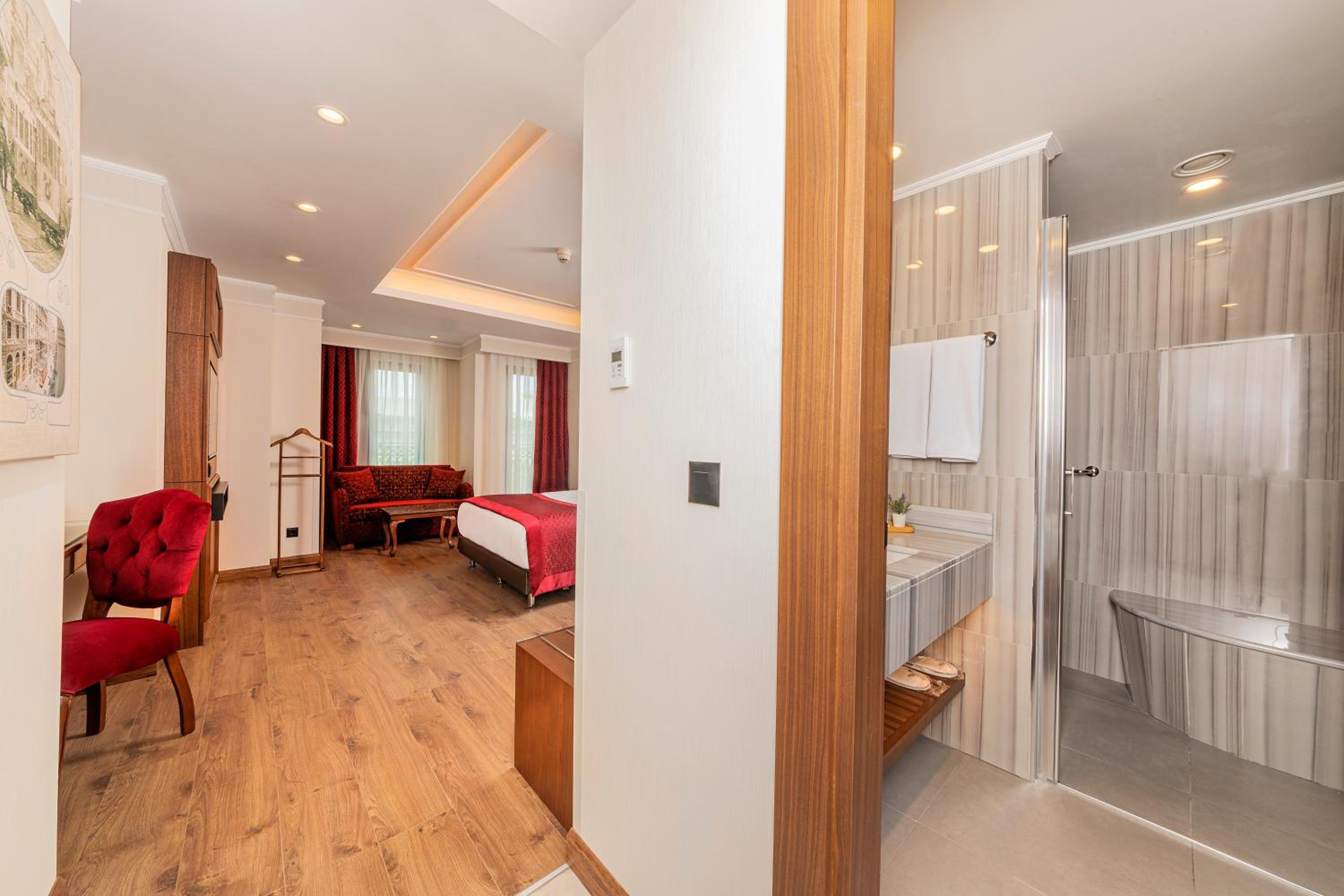 Executive Room with Turkish Bath photo 1
