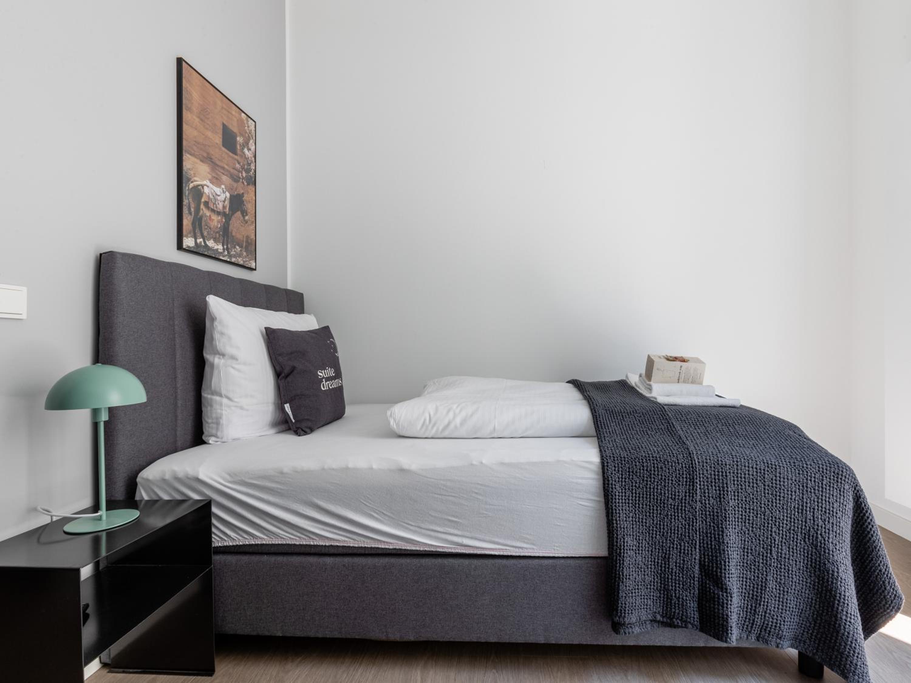 Economy Single Suite with Terrace photo 2