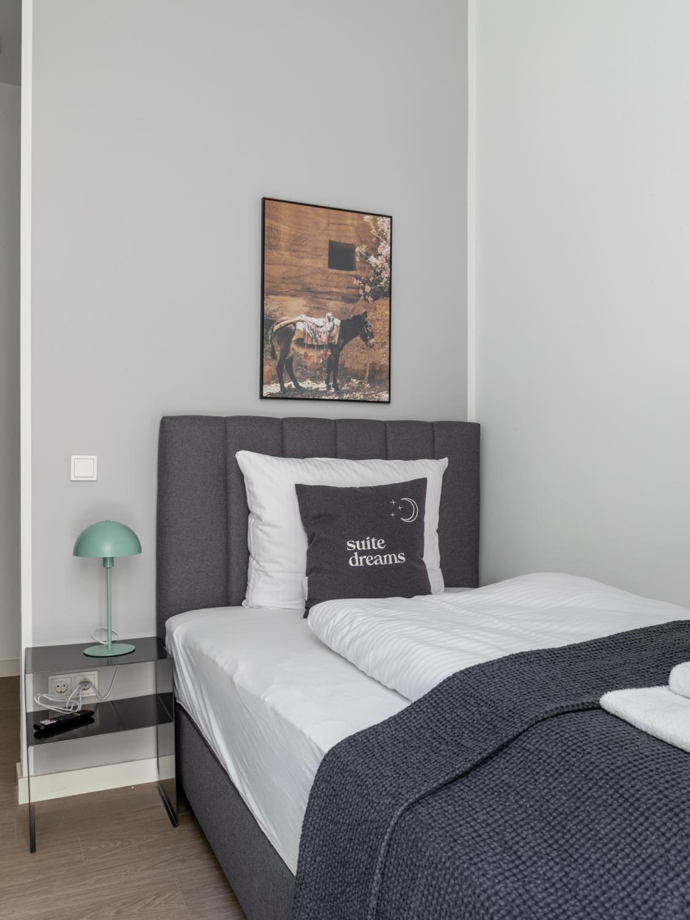 Economy Single Suite with Terrace photo 3