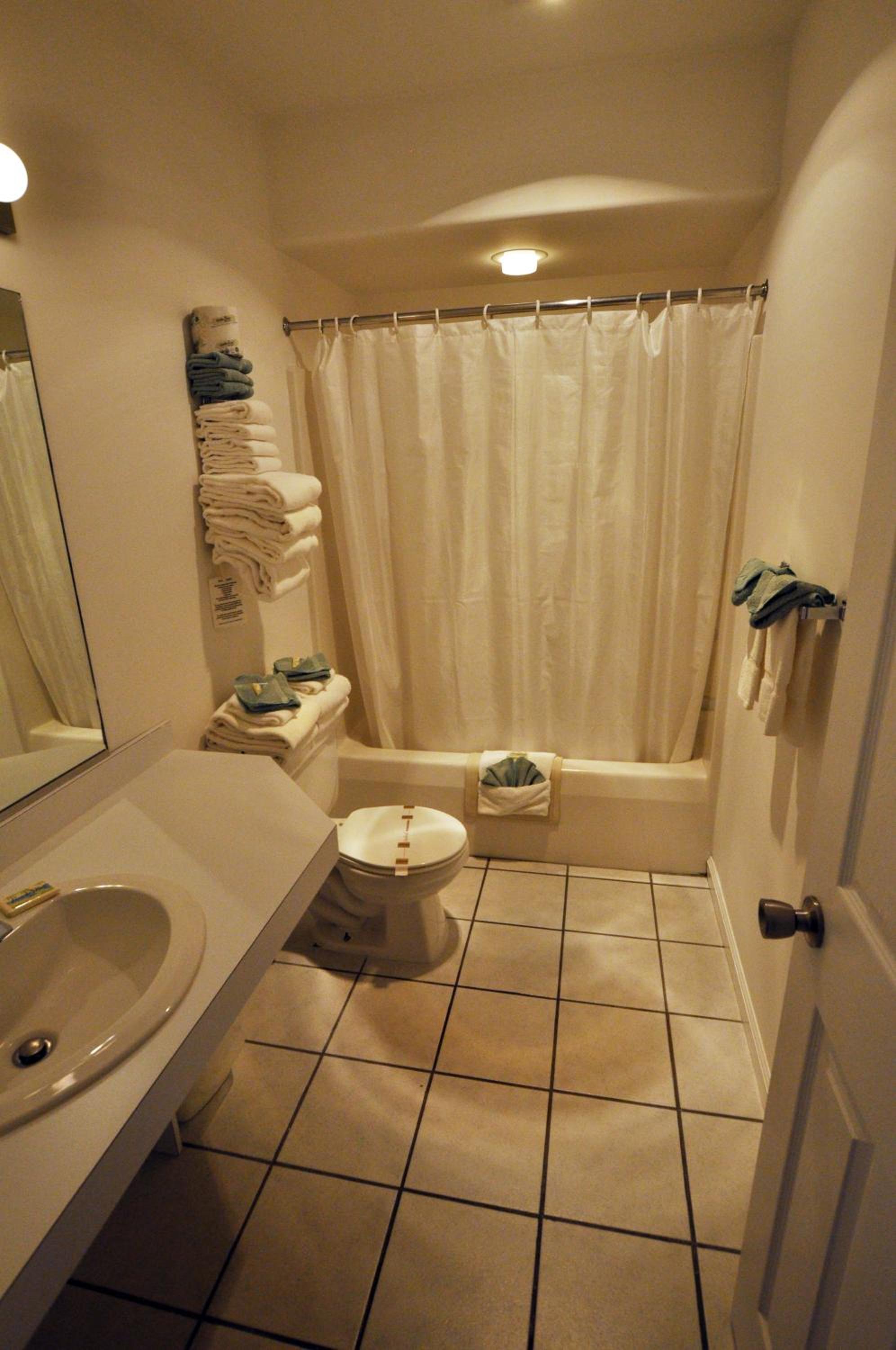 Deluxe Two-Bedroom Apartment photo 3