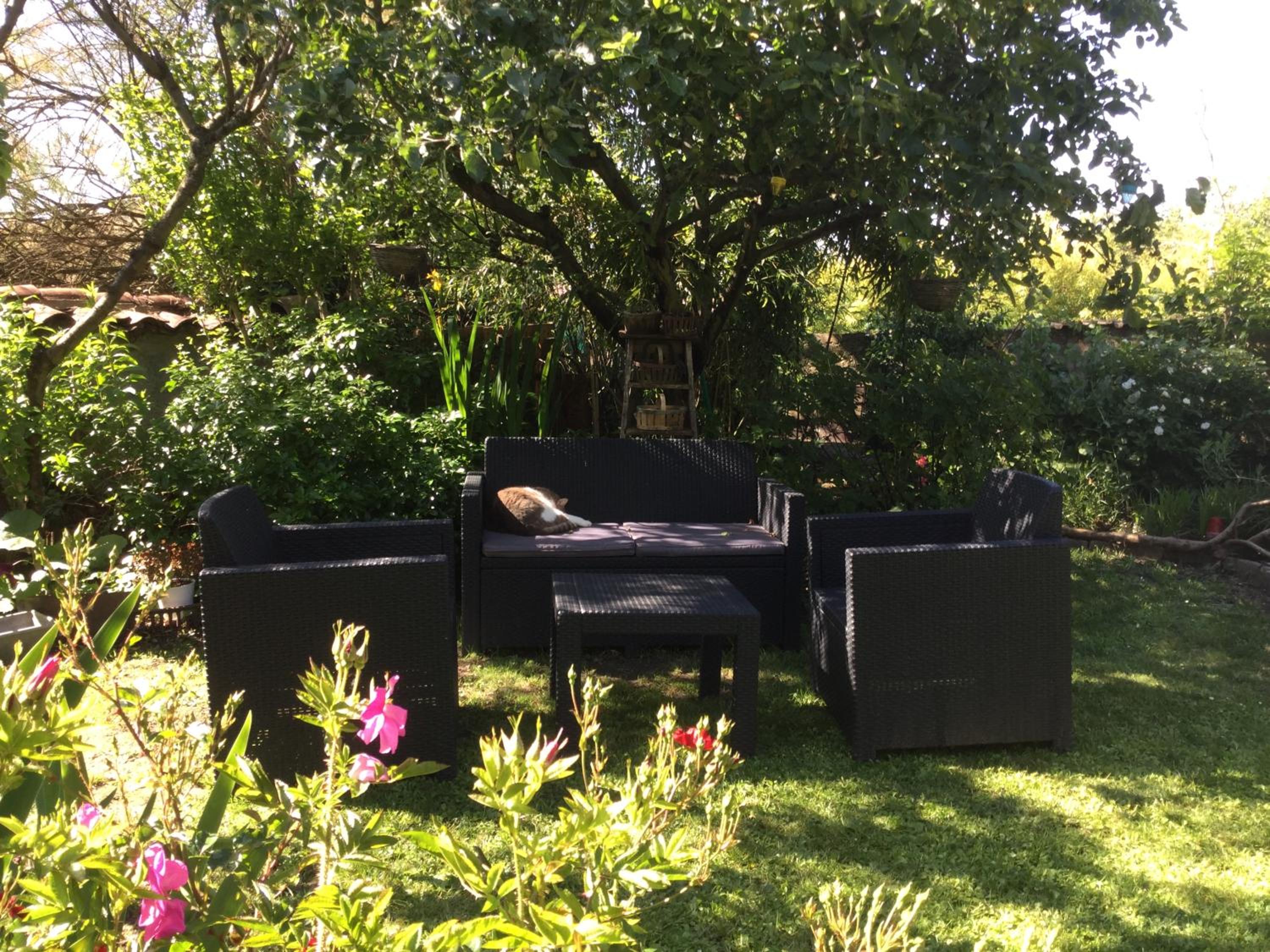 Double Room with Garden View - Photo 4